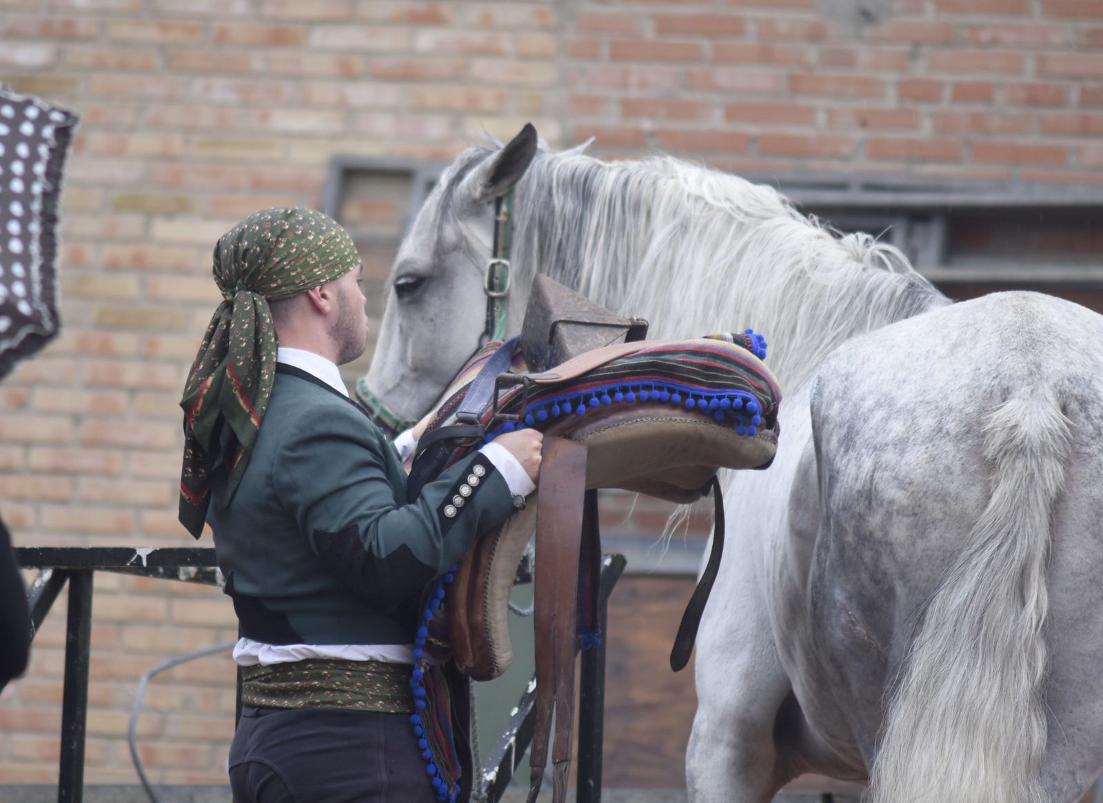 Las imágenes de la Magna Marcha Ecuestre