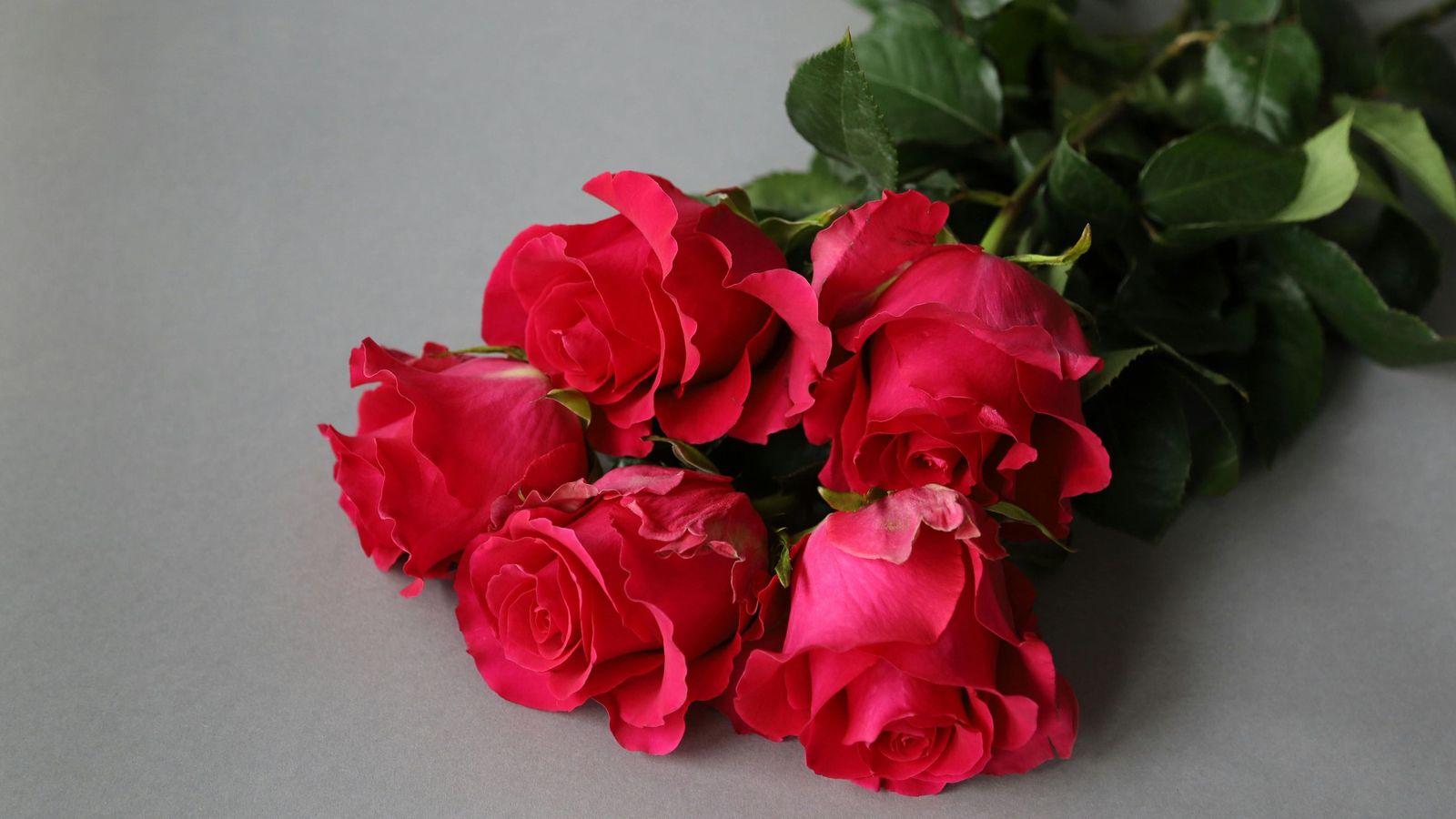 Ramos de rosas a domicilio: guía rápida por colores y cuándo importan