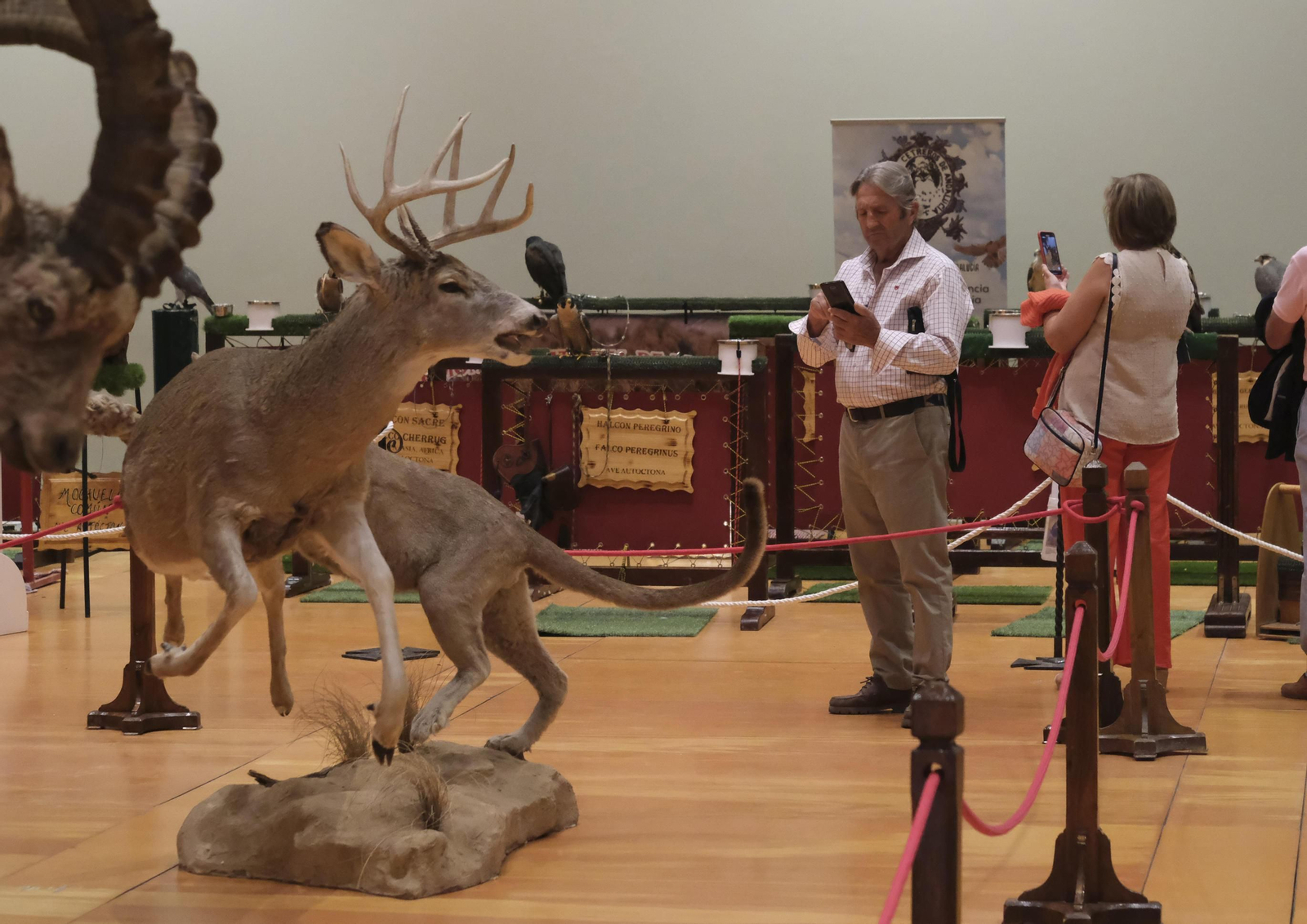 La inauguración de Intercaza 2022, en imágenes