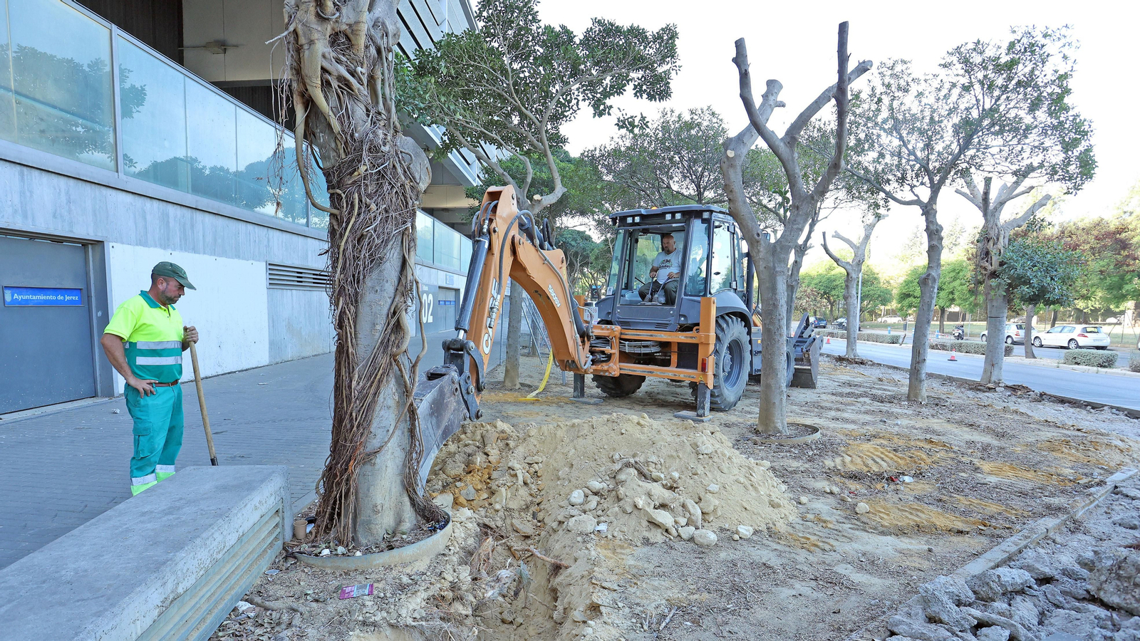 Traslado de los árboles de Chapín