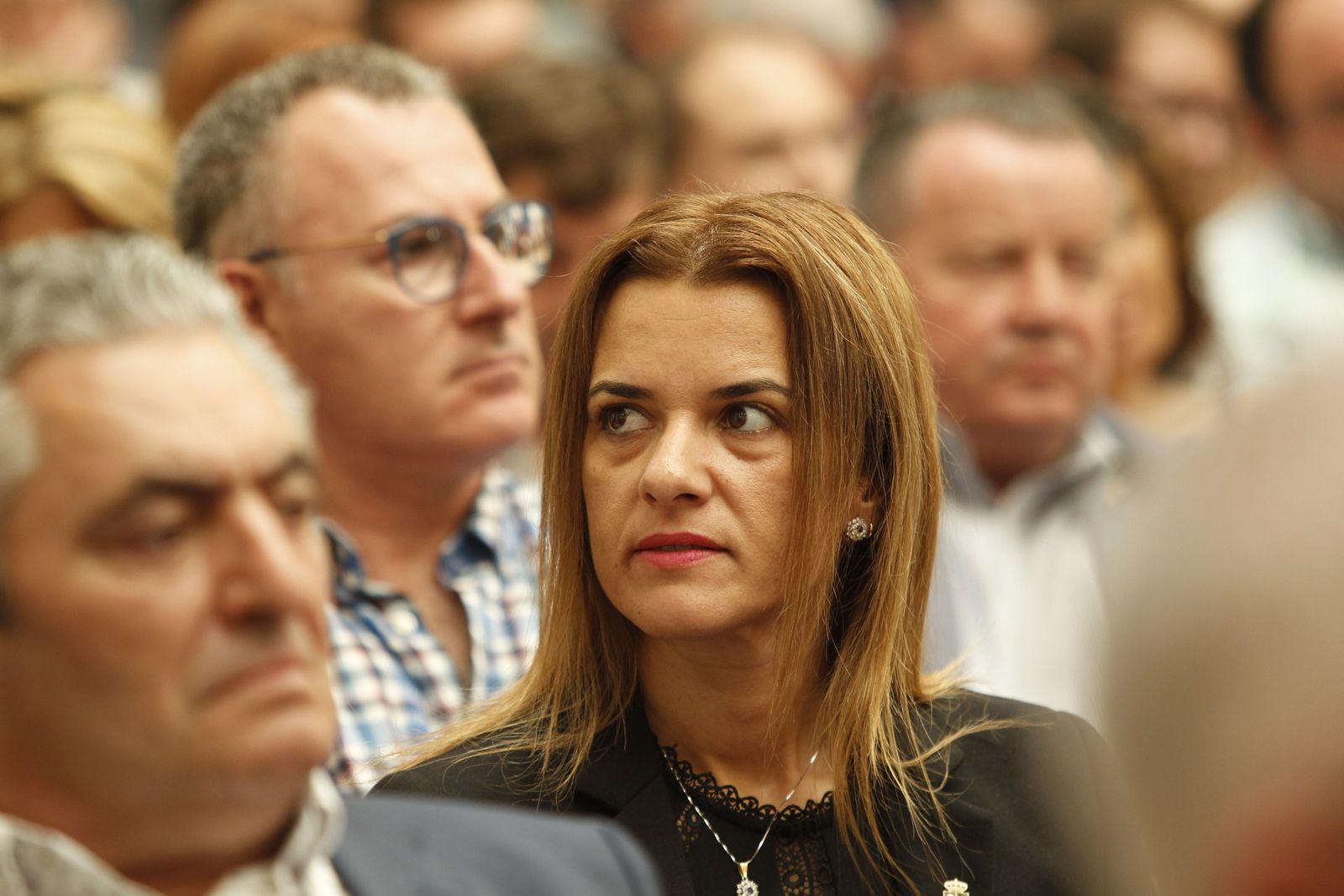 Pleno investidura Presidente Diputación de Almería. Javier Aureliano García