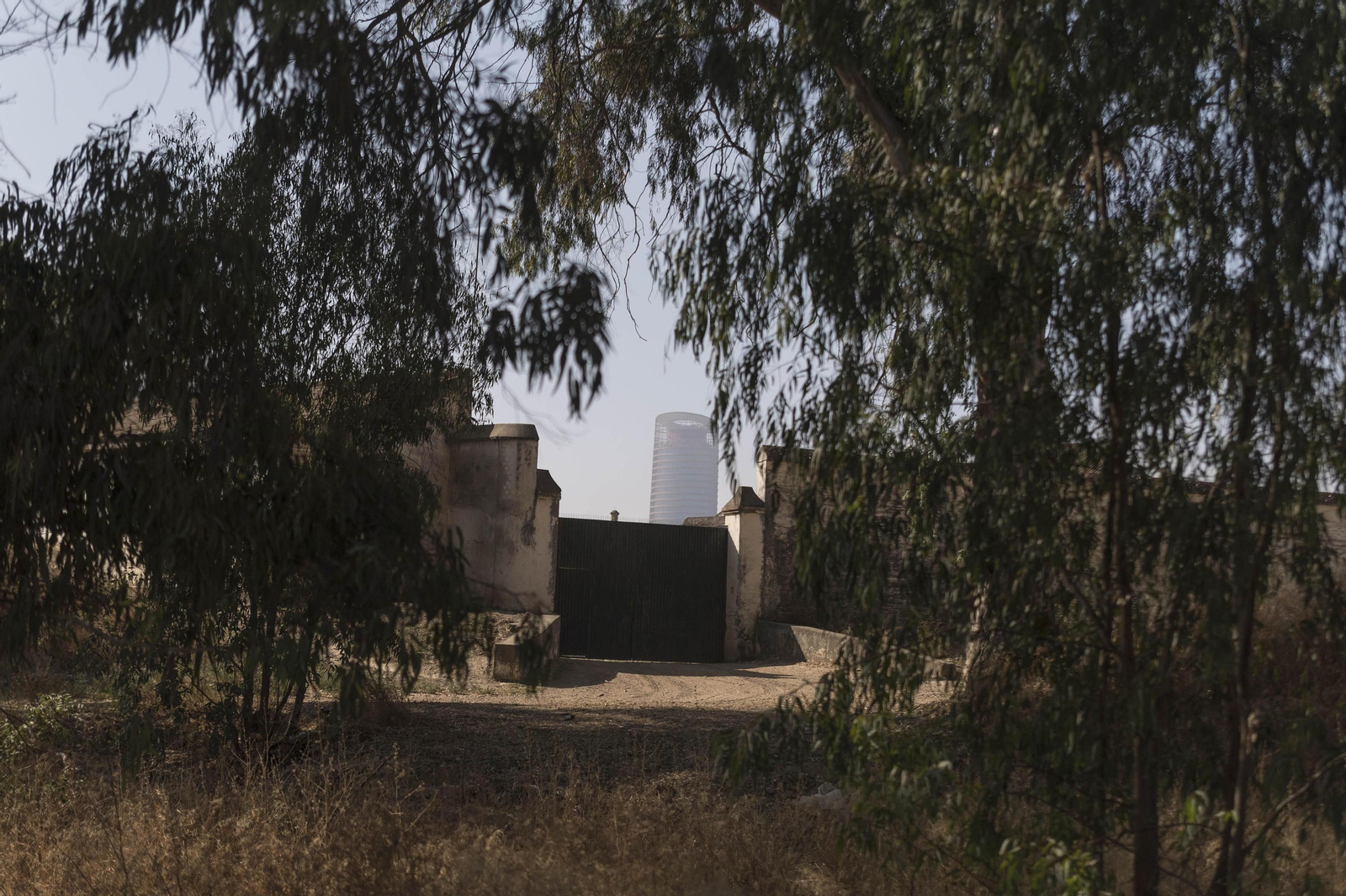 El cortijo de Gambogaz, en imágenes