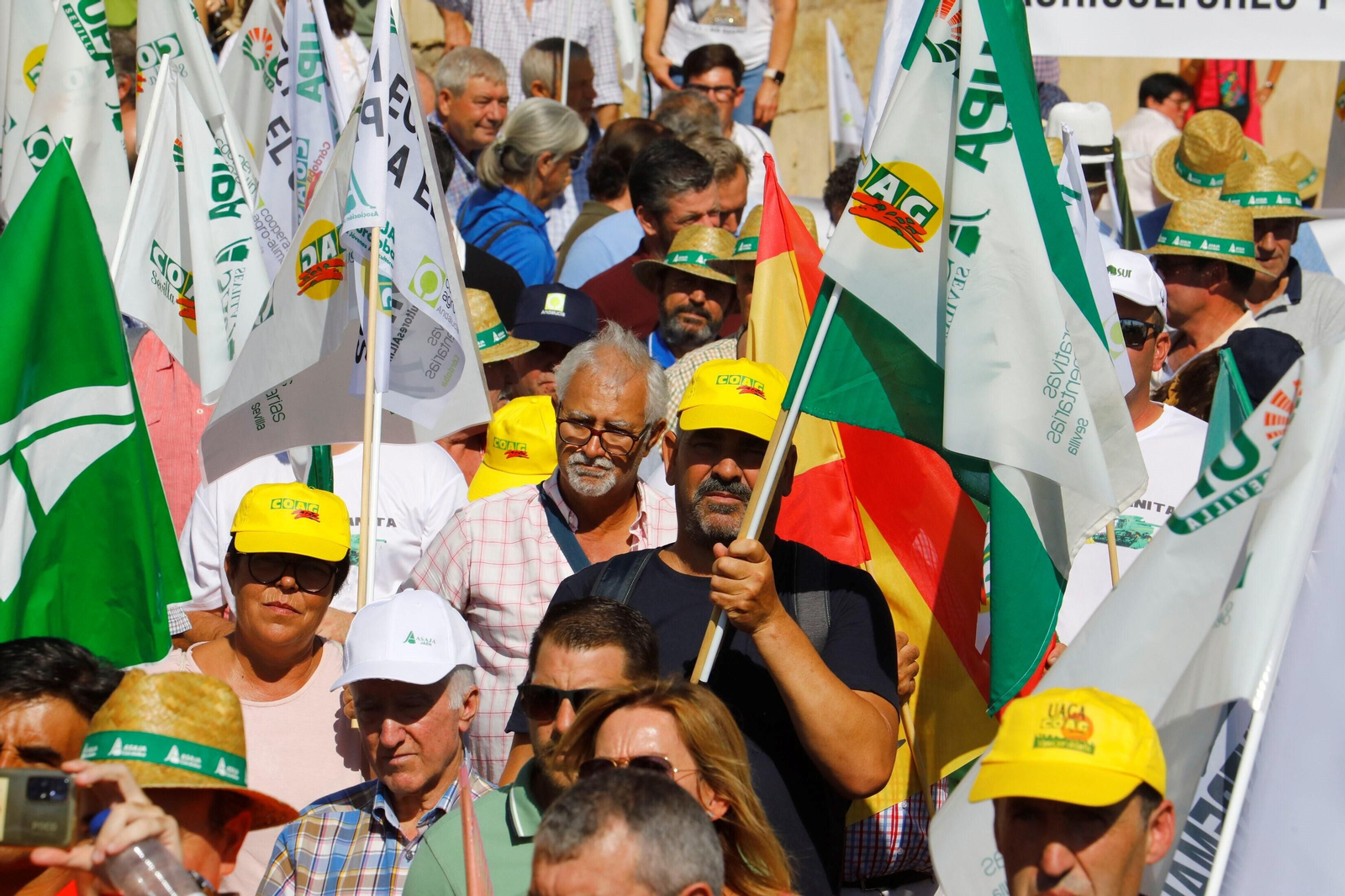 La protesta del sector agrario contra las políticas de la UE en Córdoba, en imágenes
