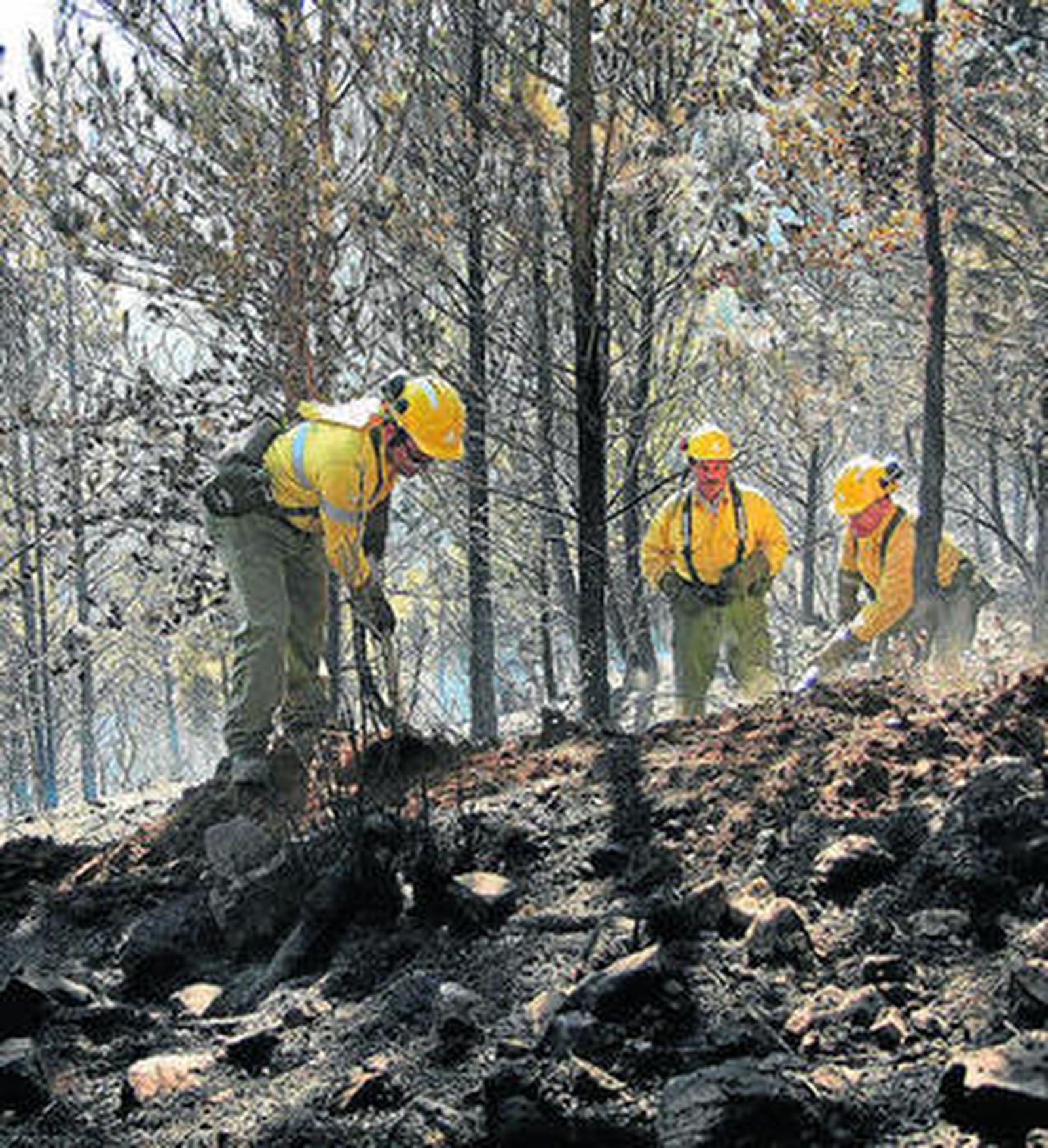 Trabajadores del Infoca en la extinción de un incendio.