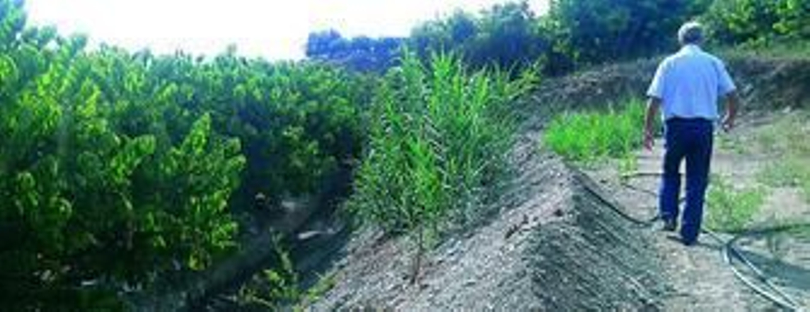 A la izquierda, acequia llena de sedimentos junto a una de las fincas en la rambla de Molvízar.