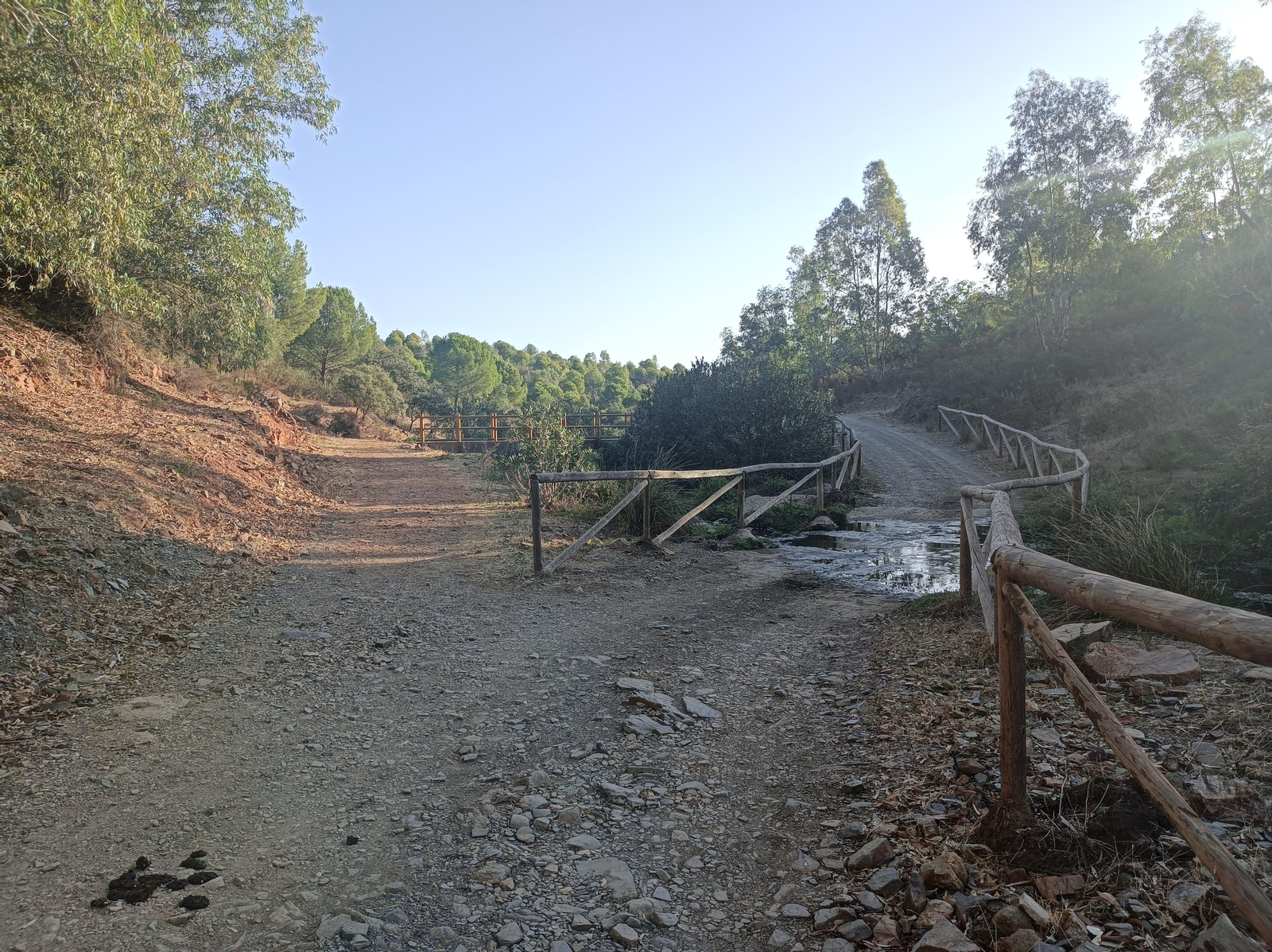 Fotos de la ruta de Los Brezales-Umbría de Santa Fe en el Ronquillo