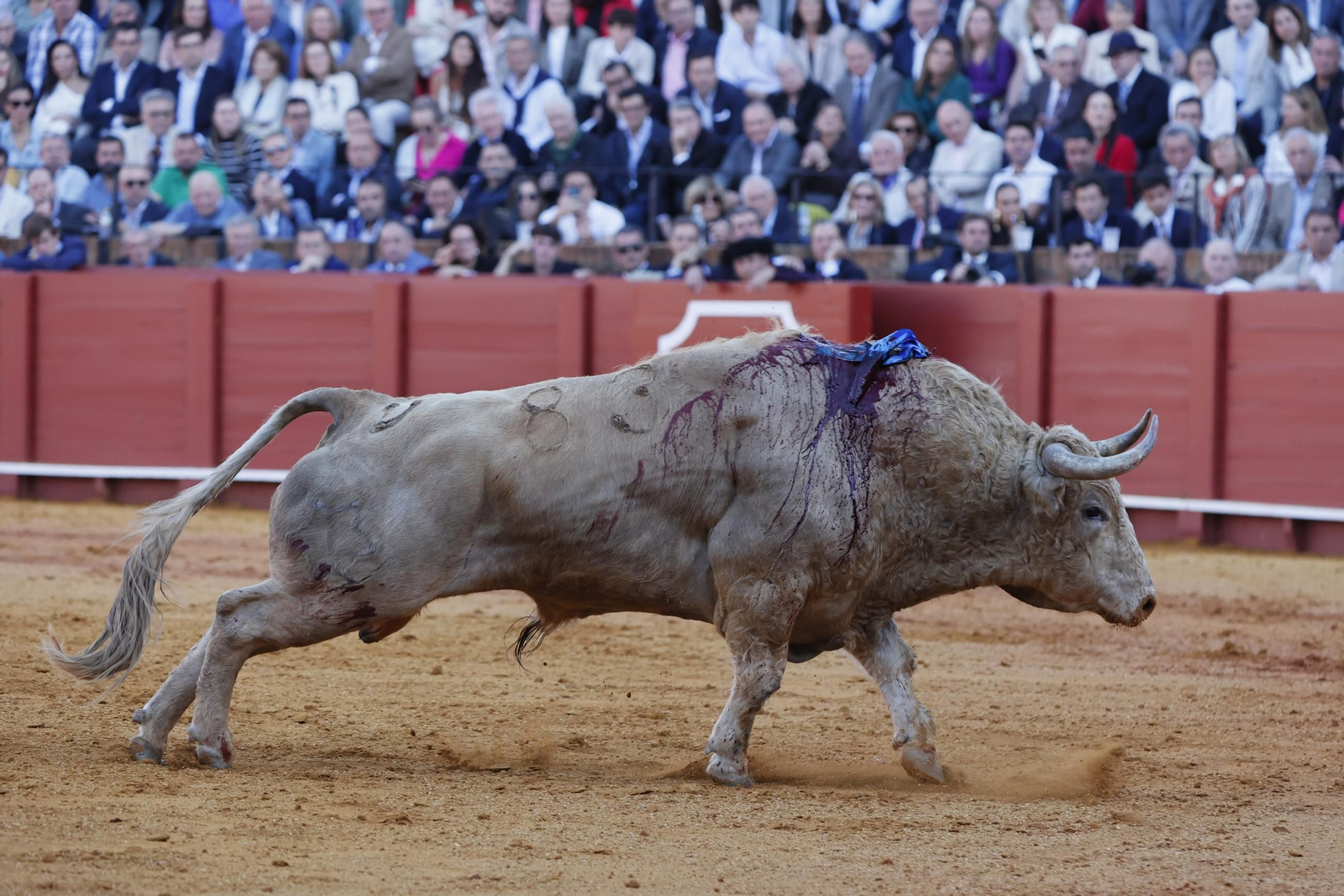 Las imágenes del festejo