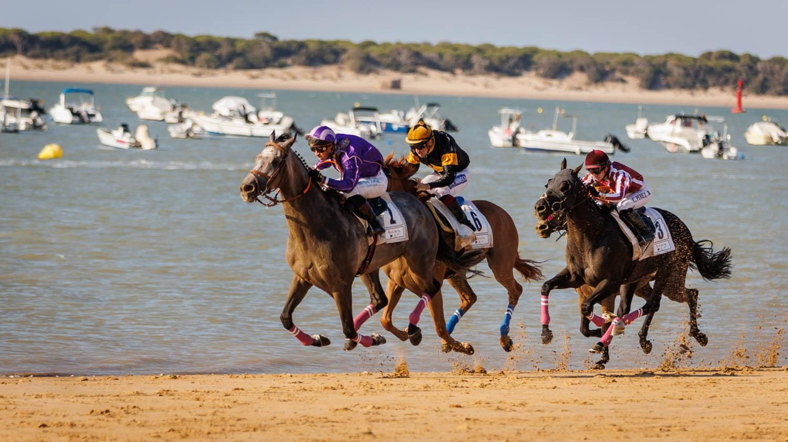 Última jornada de las Carreras de Caballos en Sanlúcar