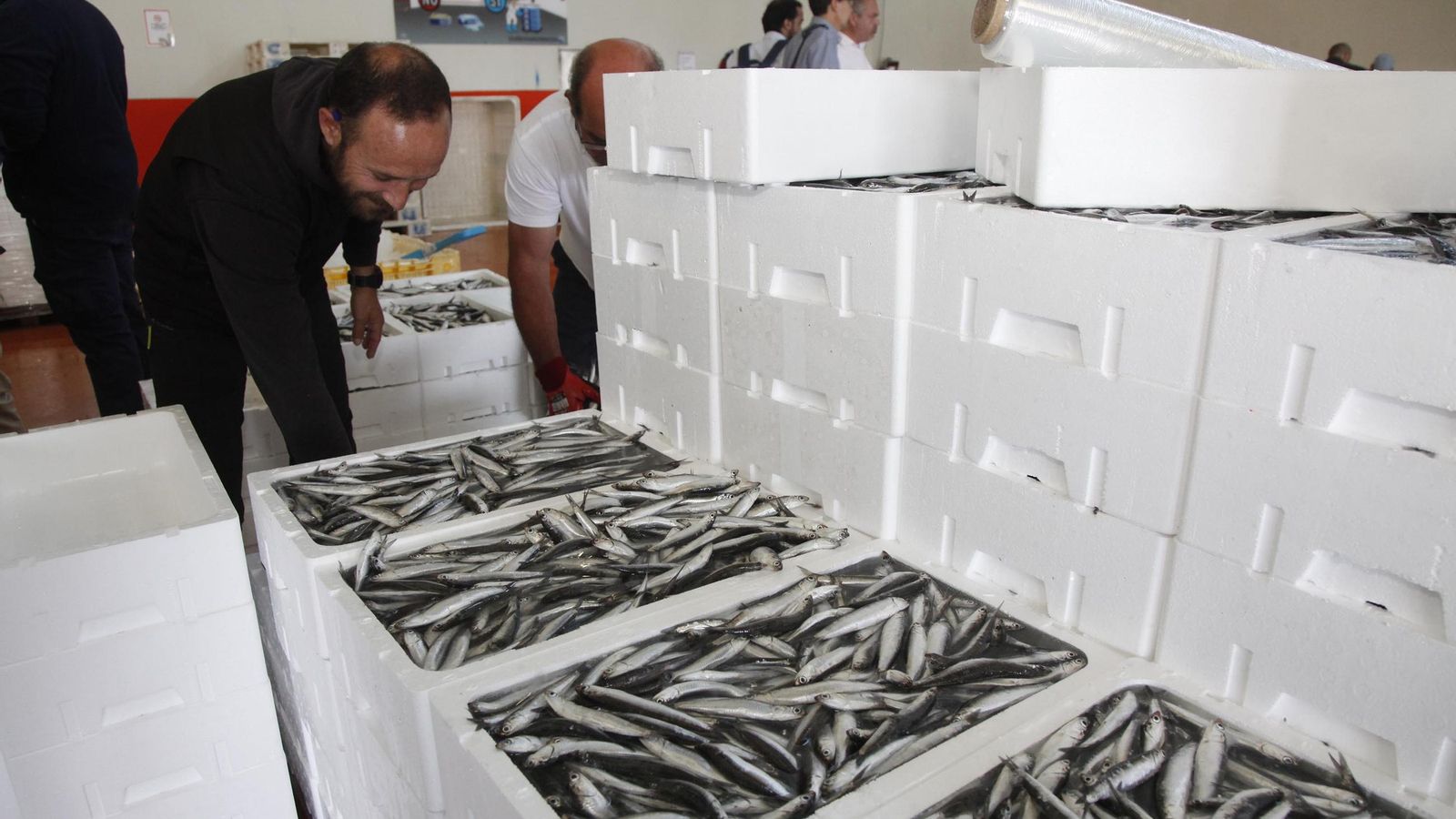 Manipulación de productos del cerco en Punta Umbría Manipulación de productos del cerco en Punta Umbría
