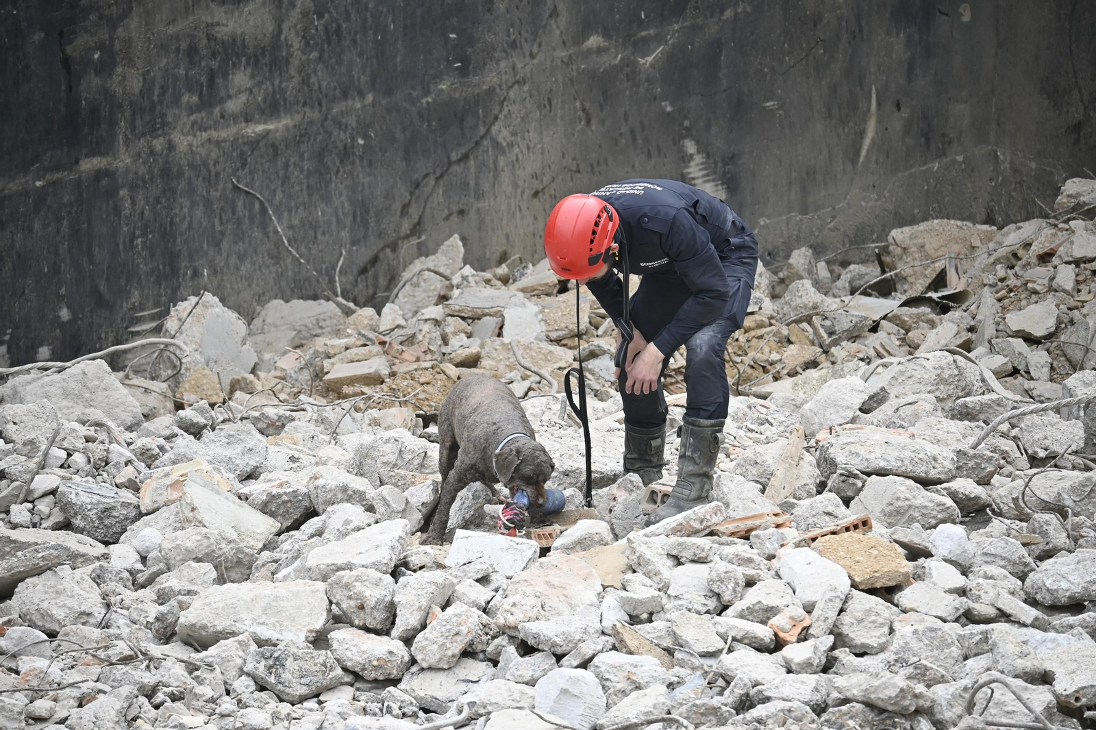 Práctica de la Unidad Canina y el Equipo de Intervención de Bomberos Unidos Sin Fronteras, en imágenes