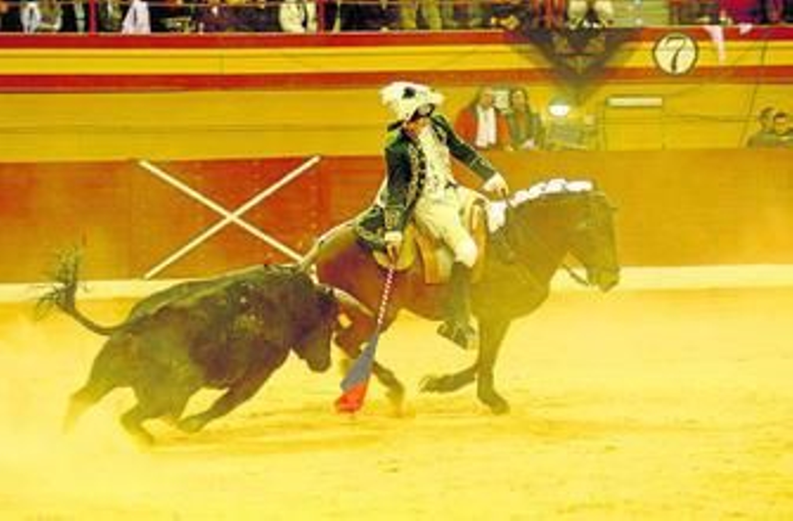 Palha fue el triunfador de la noche.