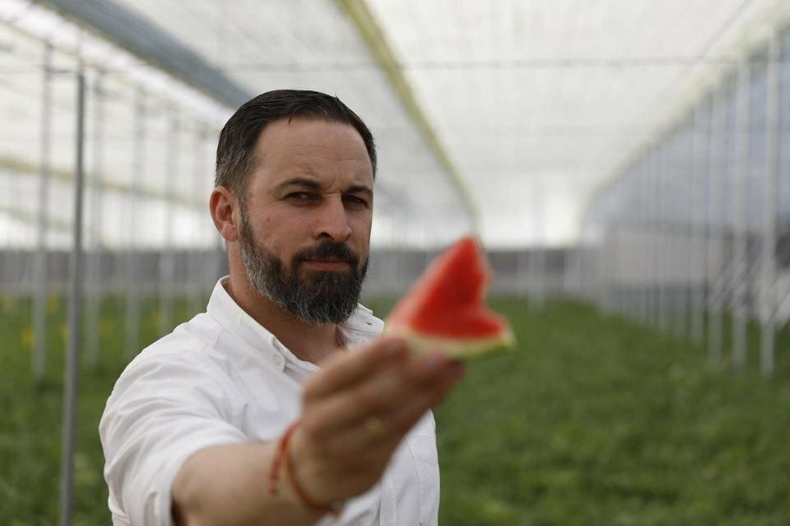 Santiago Abascal muestra un trozo de sandía en un invernadero de Roquetas de Mar.