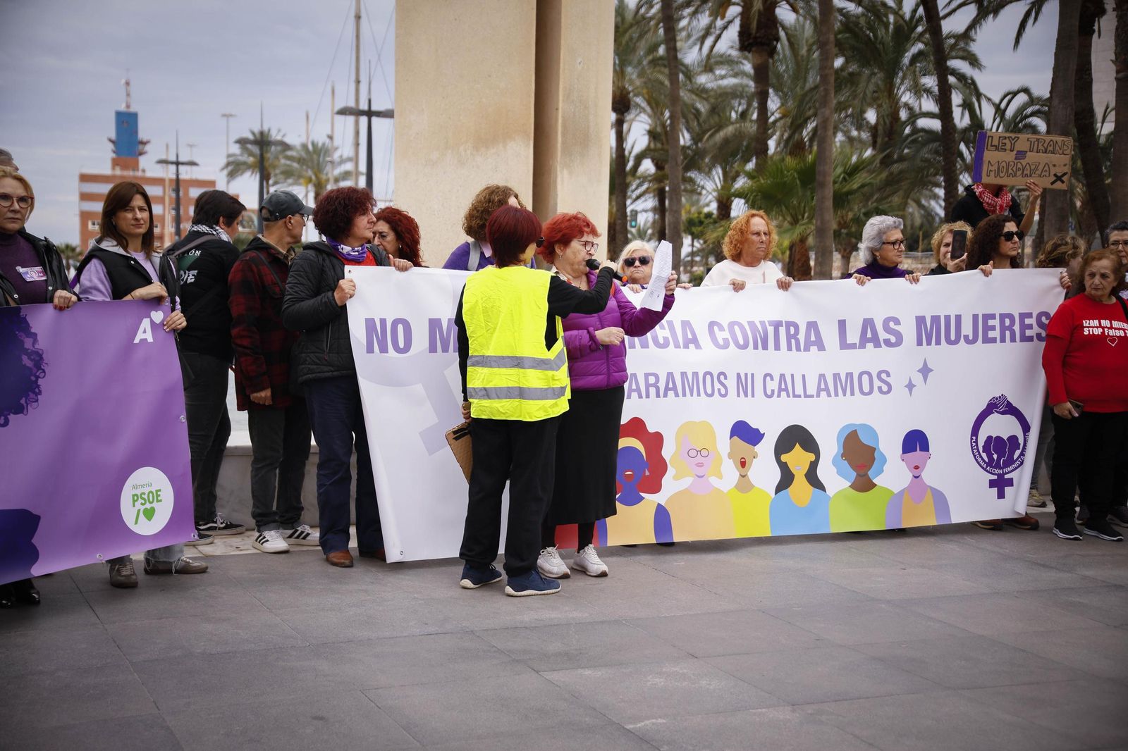 Las imágenes de la manifestación realizada por la Plataforma de Acción Feminista en Almería