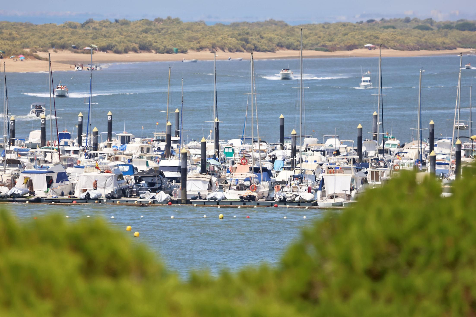 Las espectaculares vistas de la Flecha del Rompido desde el mirador de Nuevo Portil
