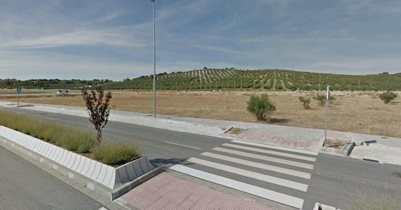 Parcela sacada a subasta en la provincia de Jaén.