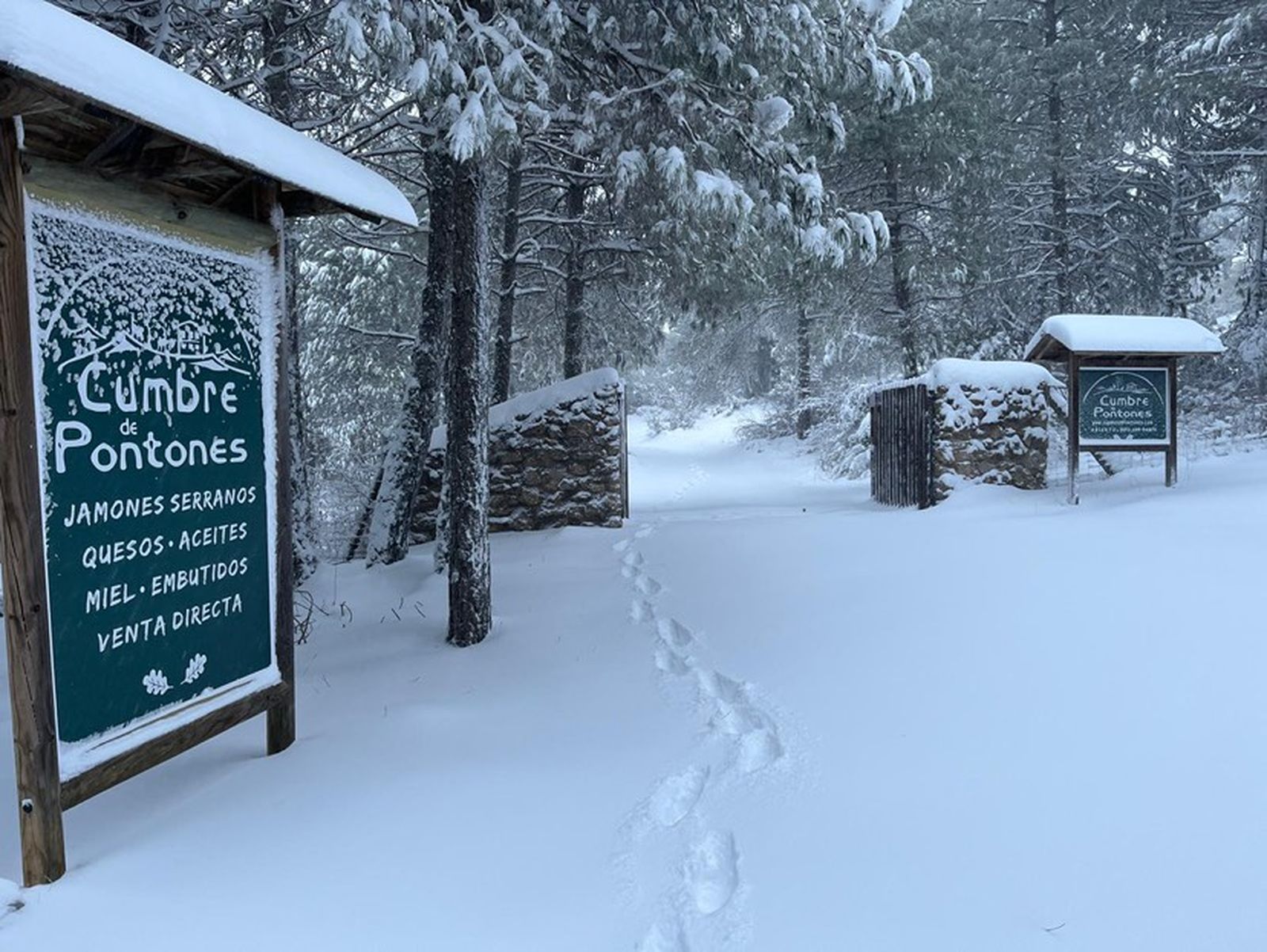 617591199_1523956332023908_2830471285326645909_n