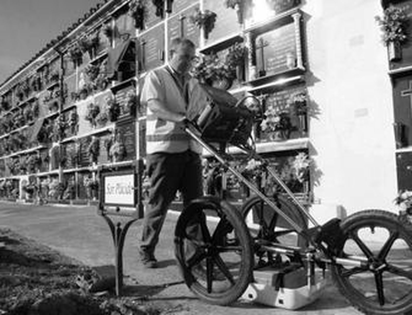 Los trabajos para localizar una fosa común en La Salud comenzaron hace unos meses.