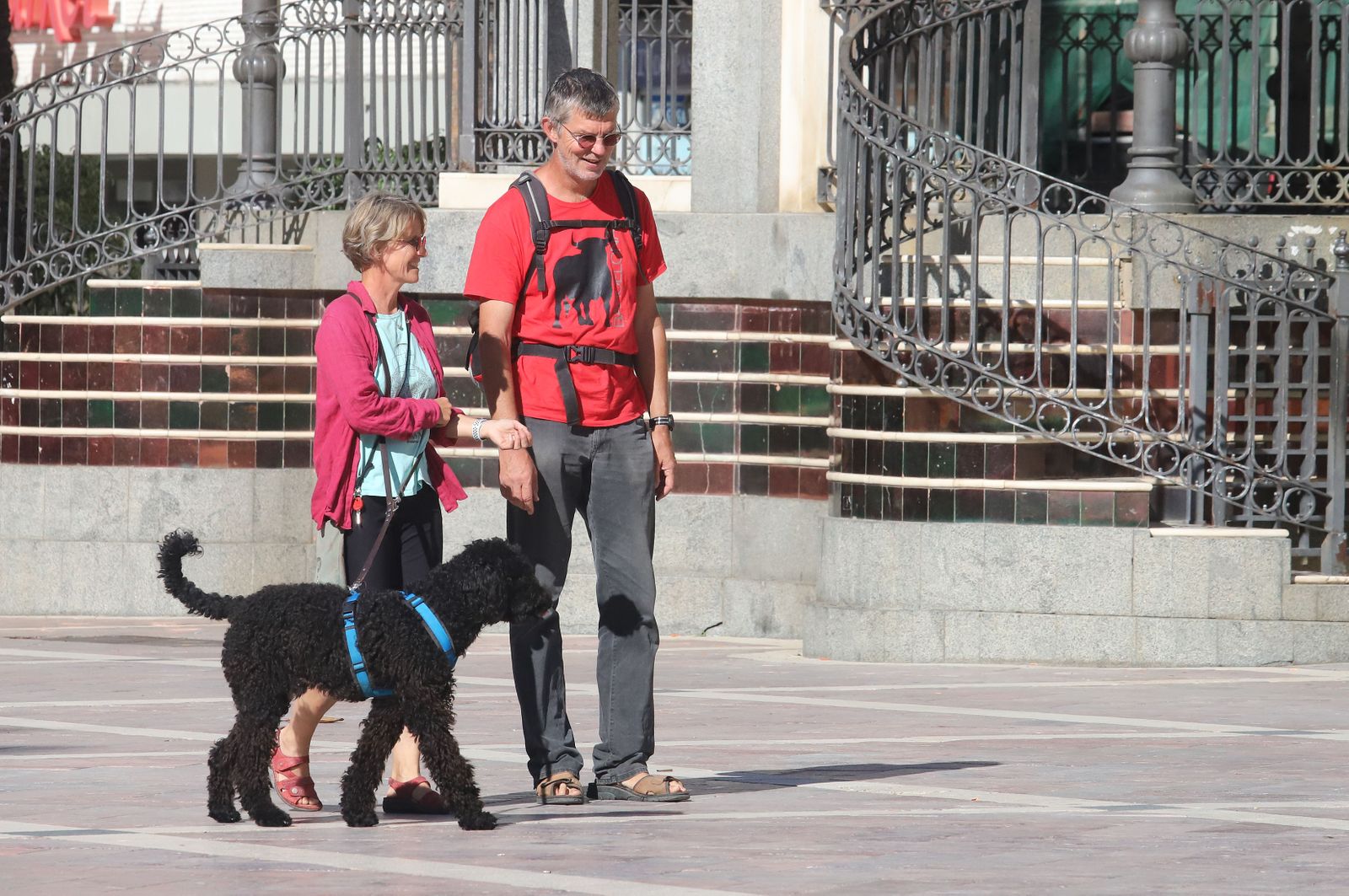 Imágenes destacadas del viernes 11 de noviembre en Huelva