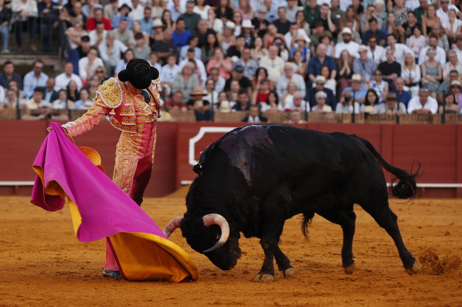 Las imágenes del primer festejo de San Miguel