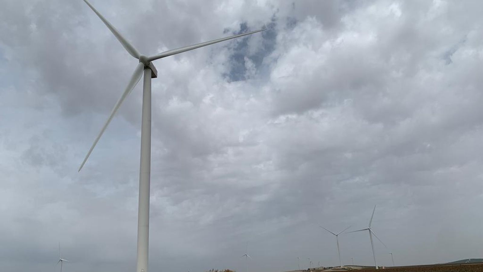 Un aerogenerador de Cepsa en el parque eólico de Jerez de la Frontera.
