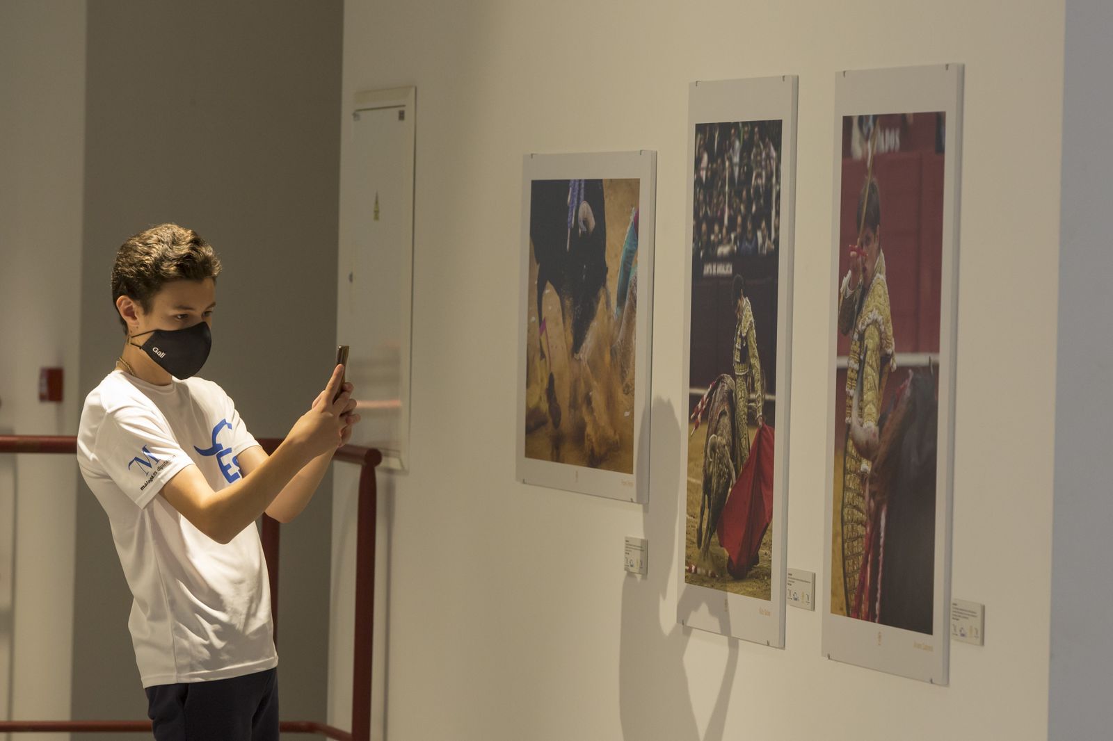 Tardes de toros en La Malagueta, en fotos