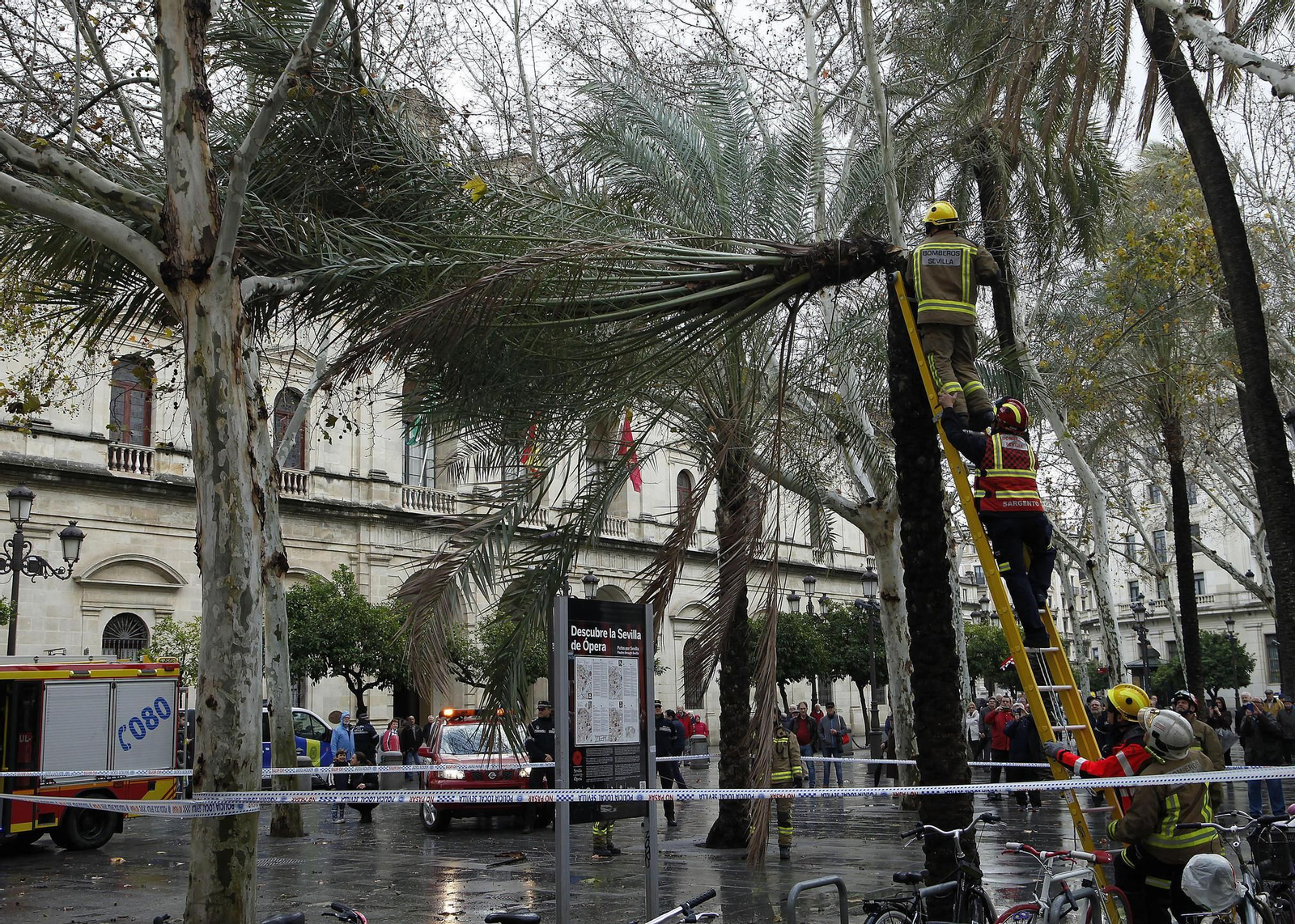 Las imágenes del temporal en Sevilla