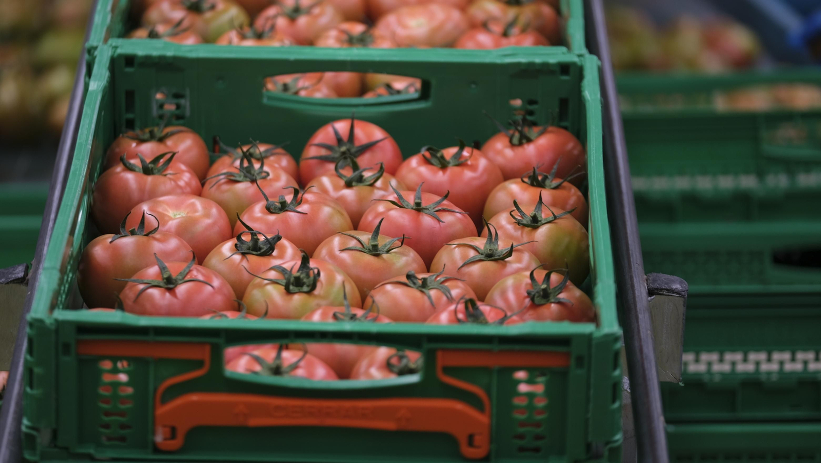 Fotogalería de la visita de Vicente del Bosque a Grupo Caparrós.