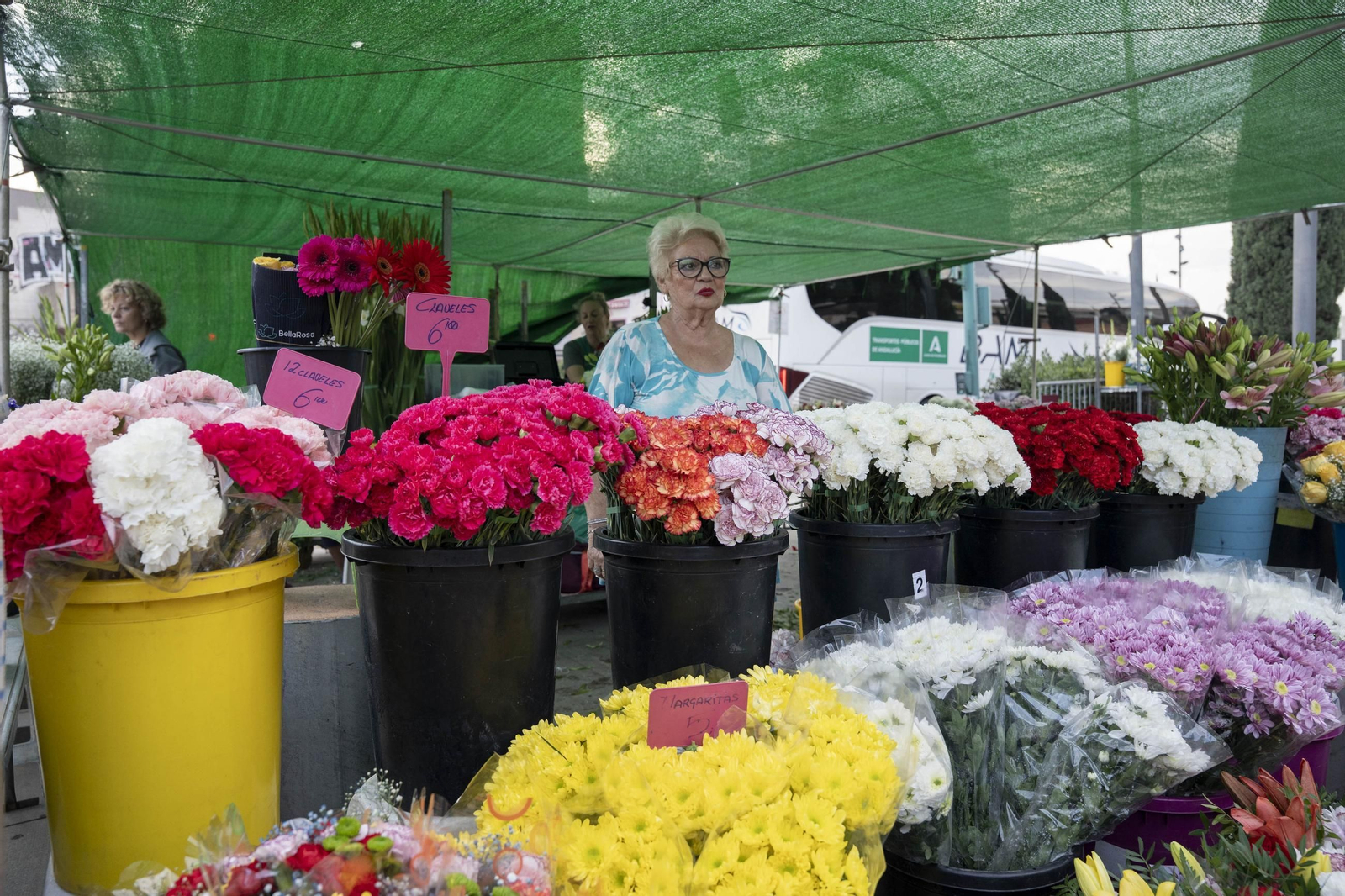 Así se preparan las flores para el Día de Los Santos en Almería