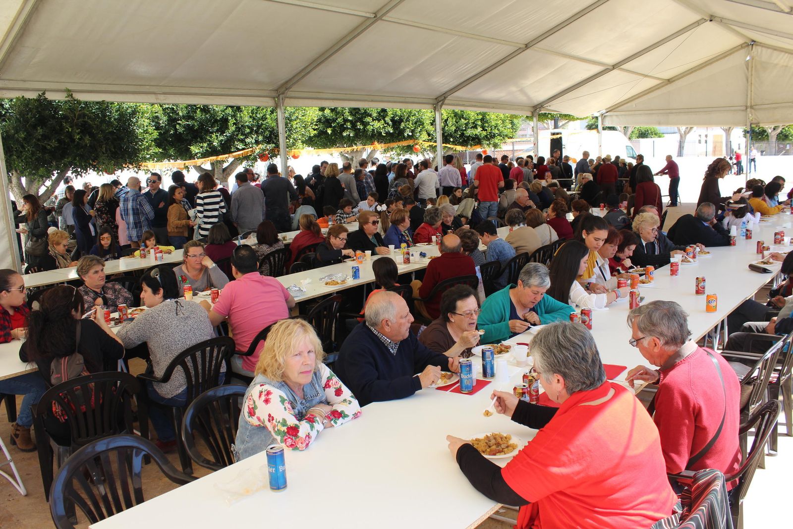 Las imágenes de la particular fiesta de la naranja en Antas