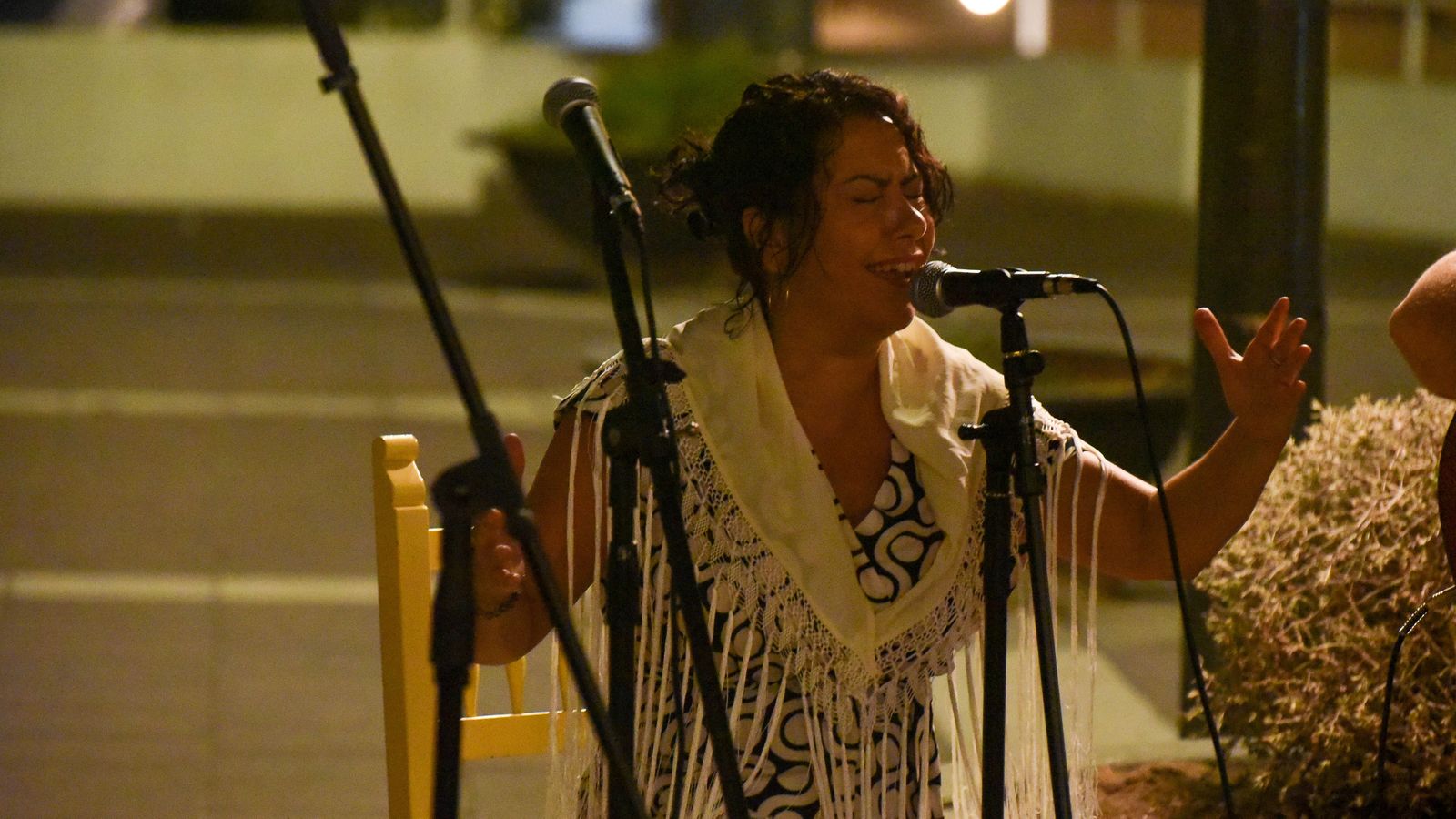 Fotos de Los viernes de Flamenco en El Limbo