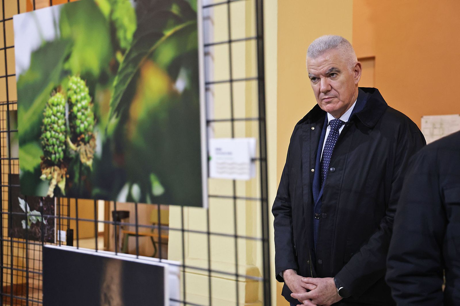 Exposición del I Rally Fotográfico de La Canastita