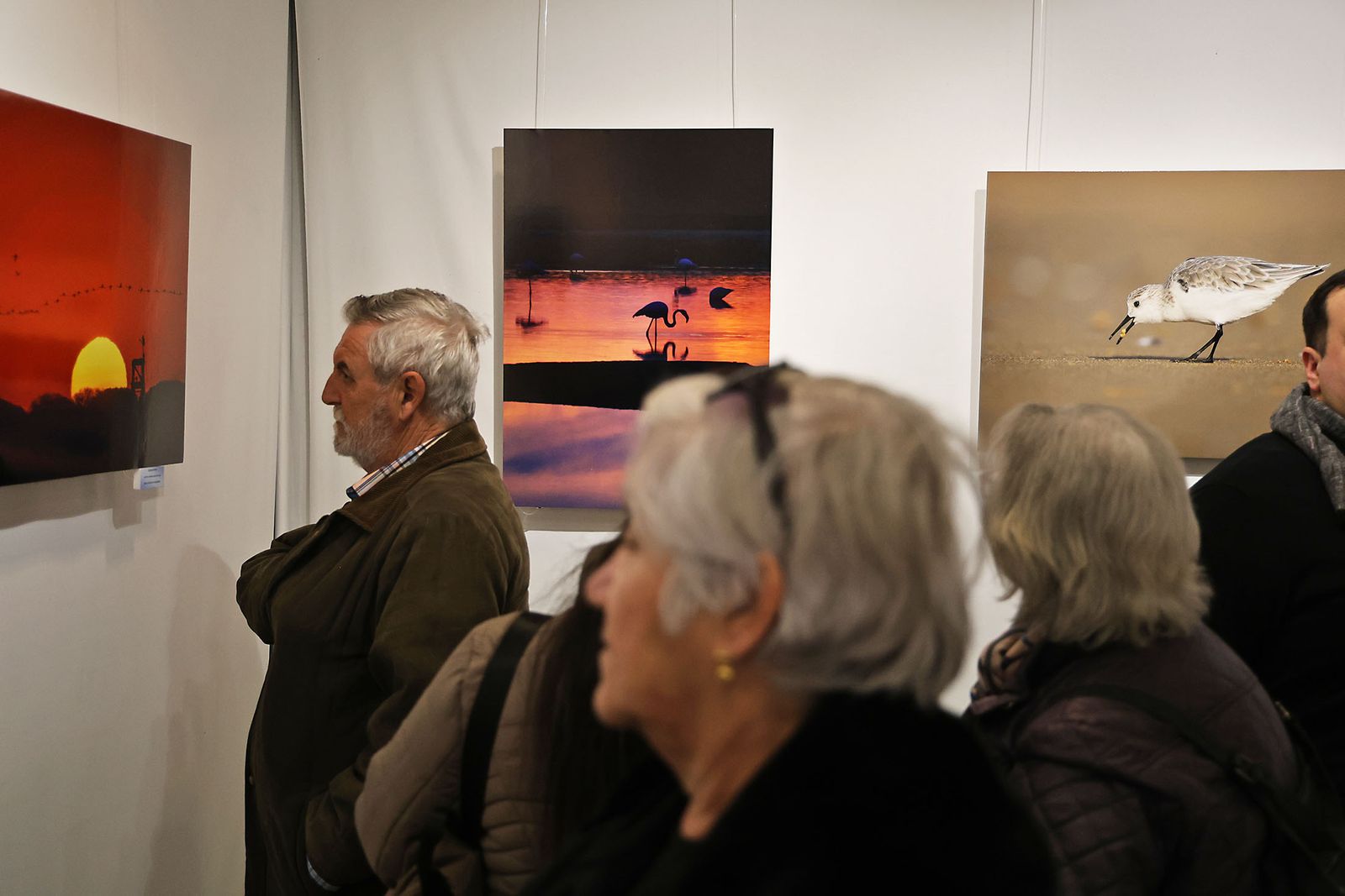Exposición del Concurso de Fotografía 'Alas del Odiel'