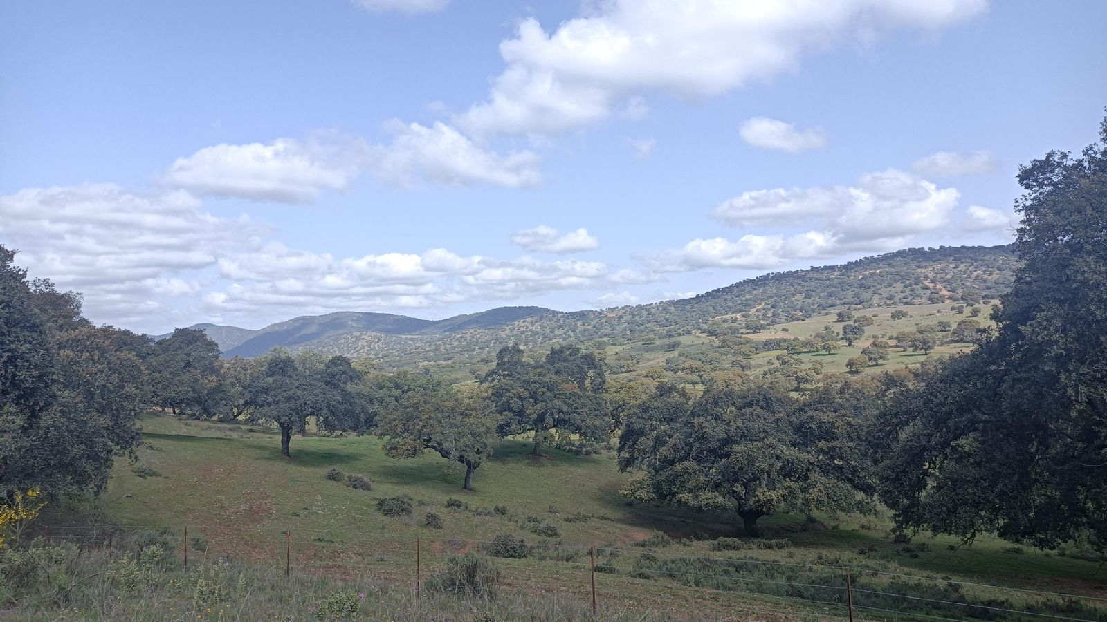 Desde el segundo tramo de asfalto se alcanzará el punto más alto y se disfrutará de una panorámica del entorno.