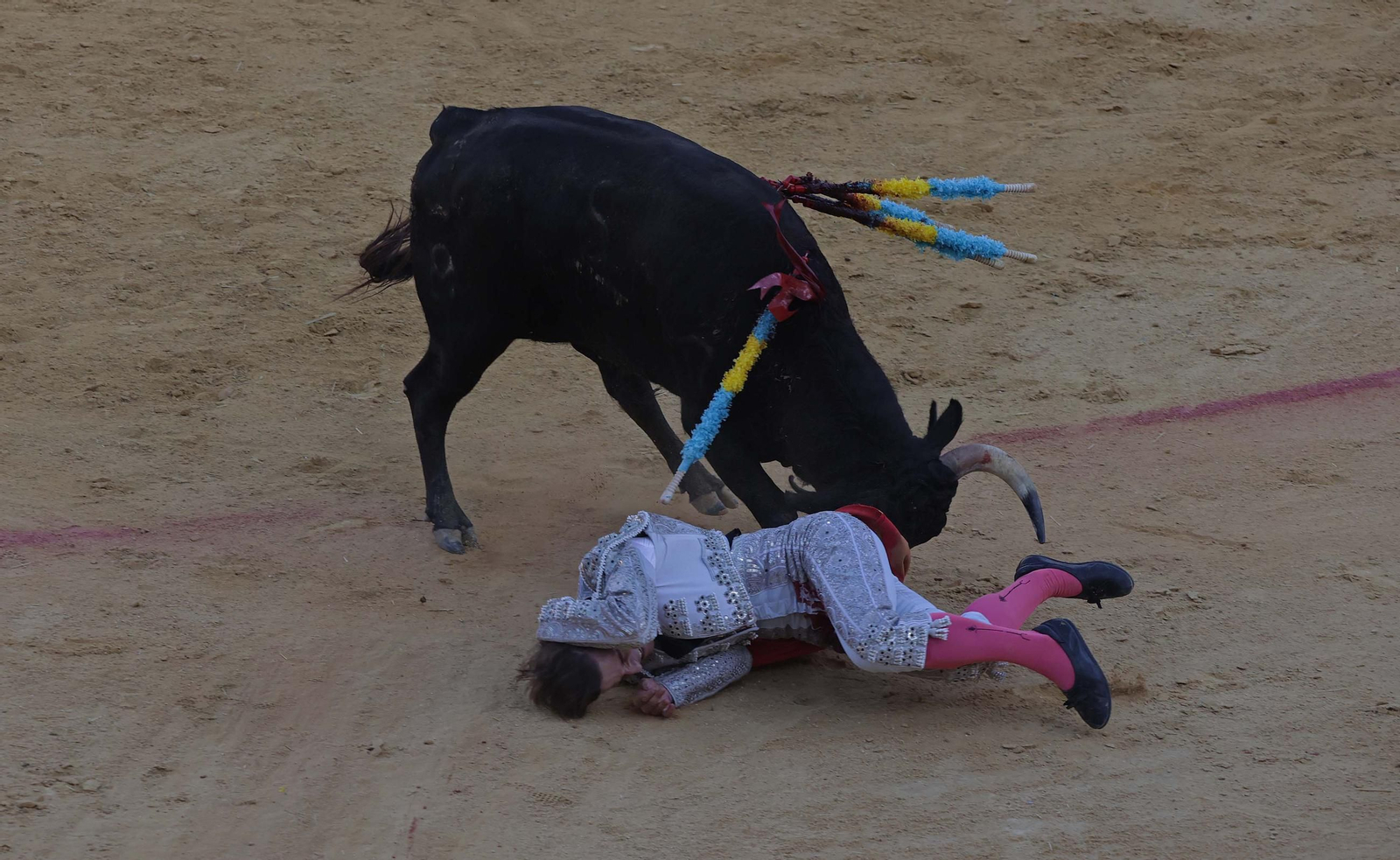 Fotos de la novillada sin picadores del miércoles de la Feria Real de Algeciras 2025
