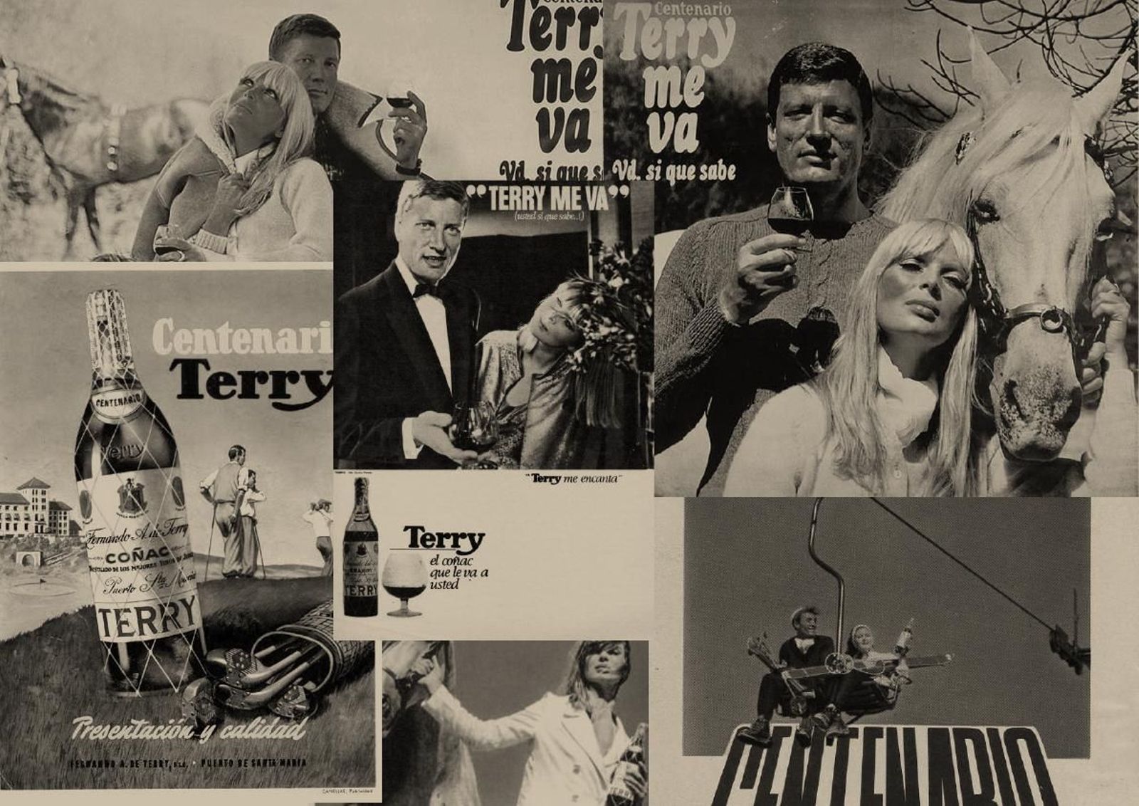 Terry, la esencia de una marca icónica