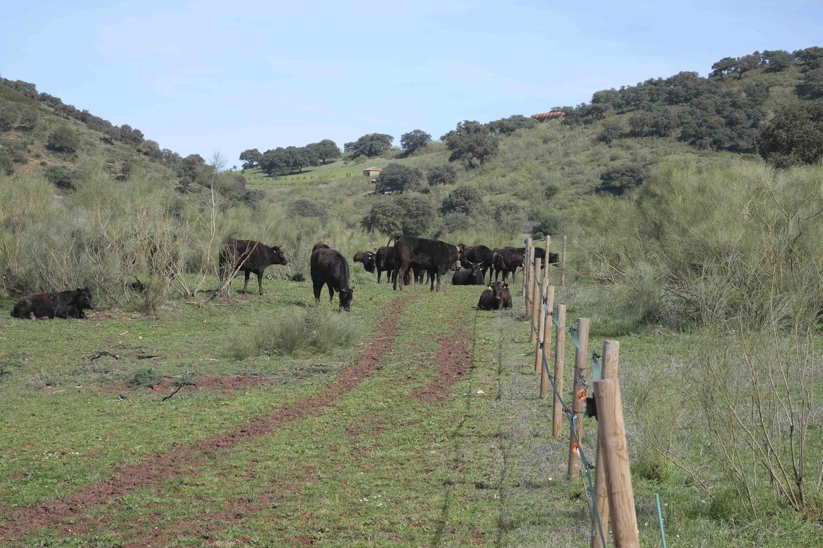 La Donaira, en fotos