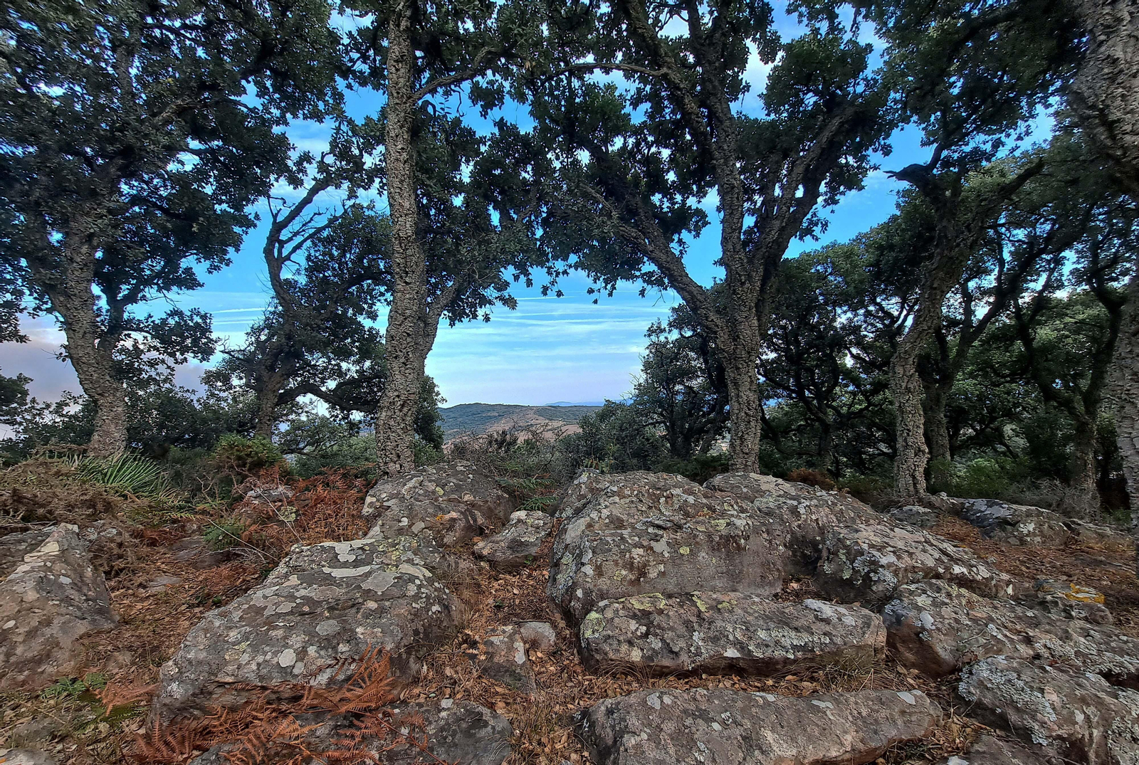 Fotos del sendero del Chorro de Pelayo en Algeciras