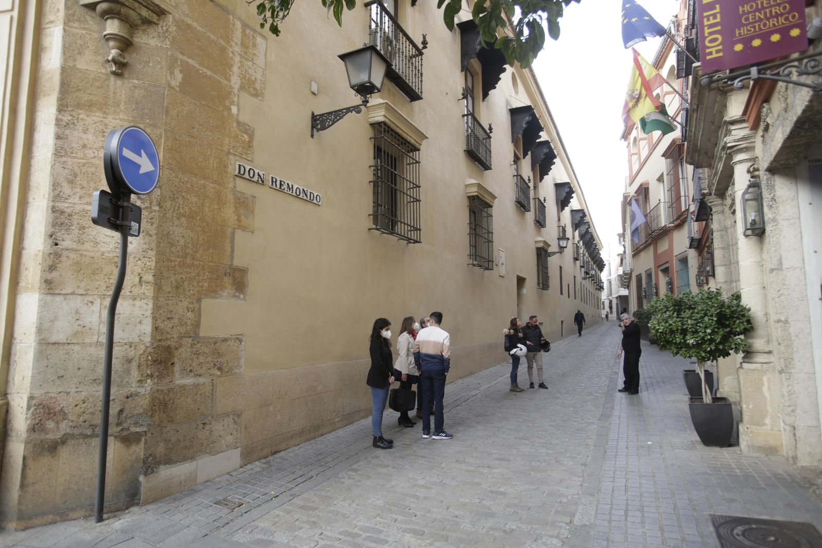 El último servicio de don Remondo a Fernando III