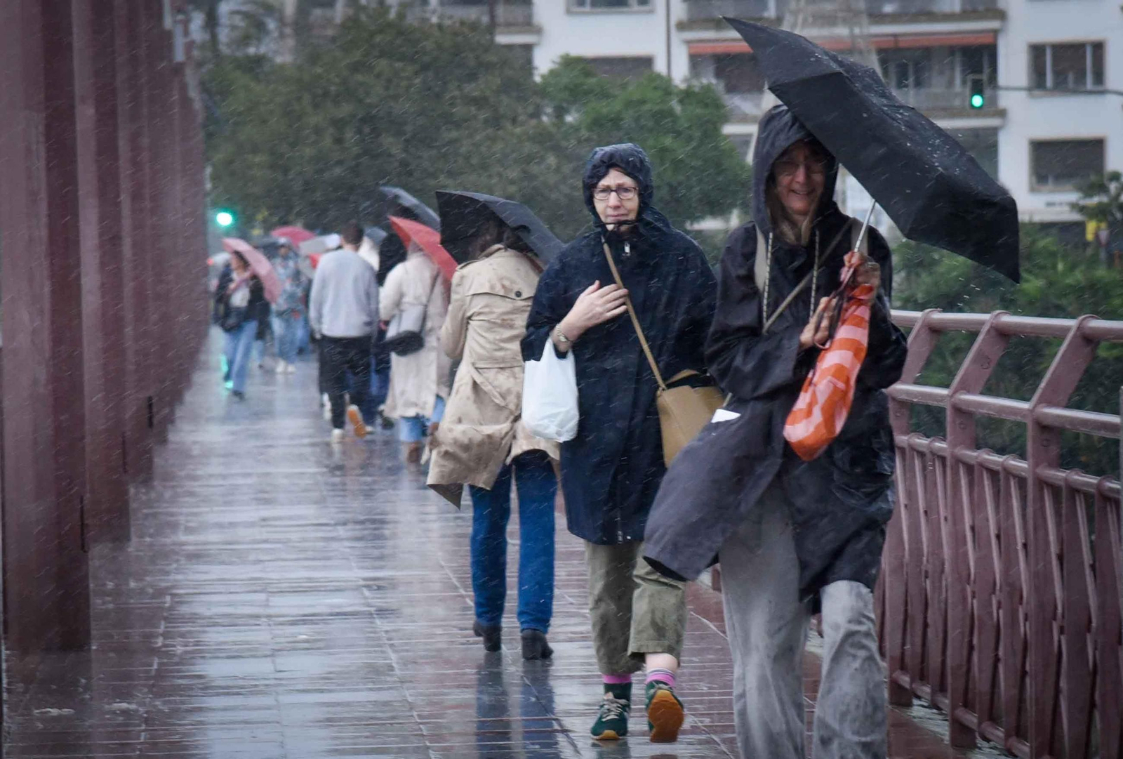 El paso de la Borrasca Claudia por Sevilla en imágenes