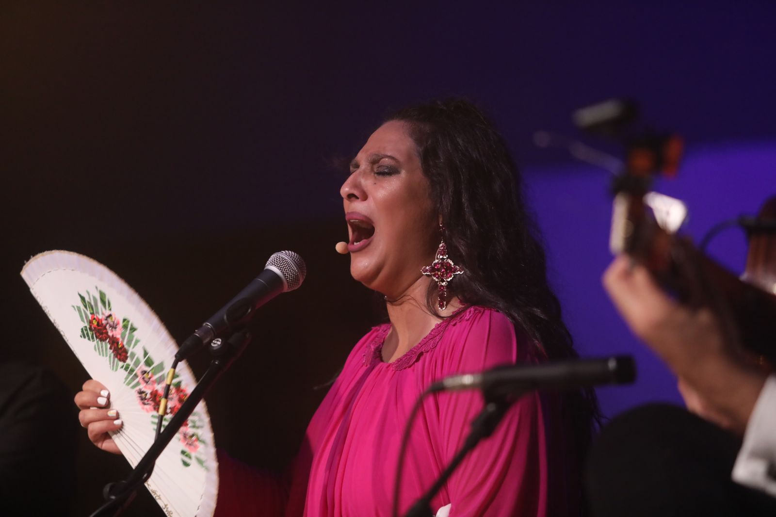 La noche flamenca en el Parque de San Fernando, en imágenes
