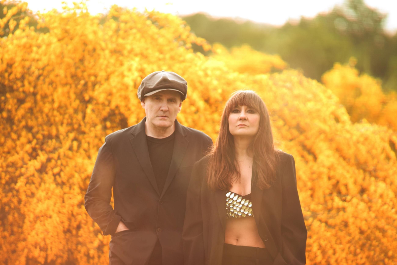 Amaral regresa con un nuevo trabajo.