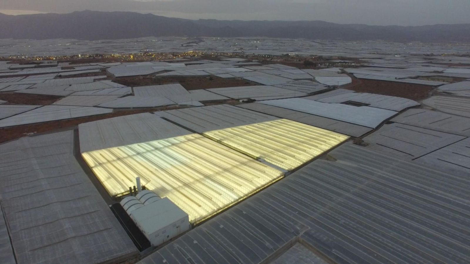 La iluminación adicional es fundamental para acortar los plazos de crecimiento