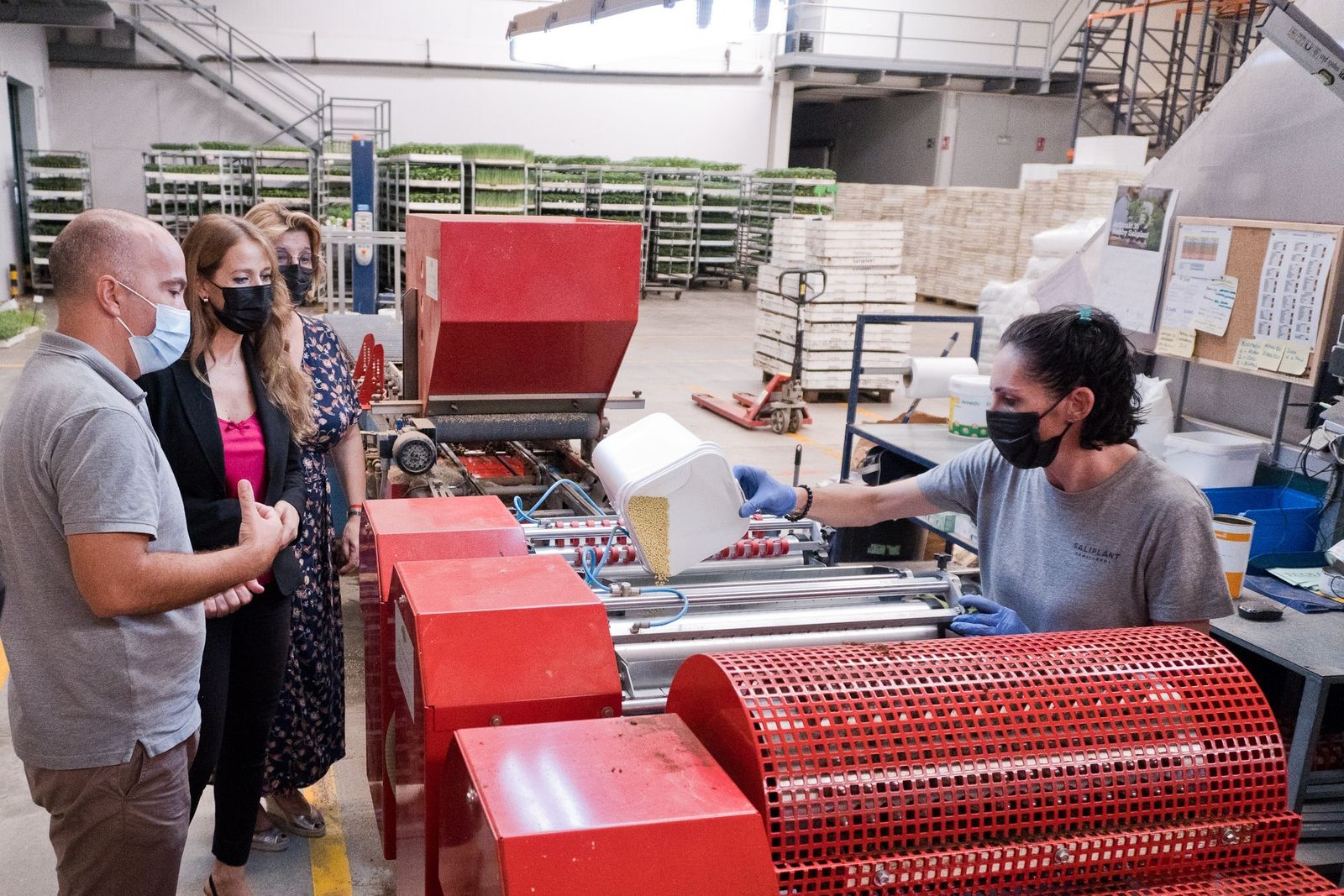 Visita de la delegada de Empleo de la Junta en Granada a la empresa Saliplant.