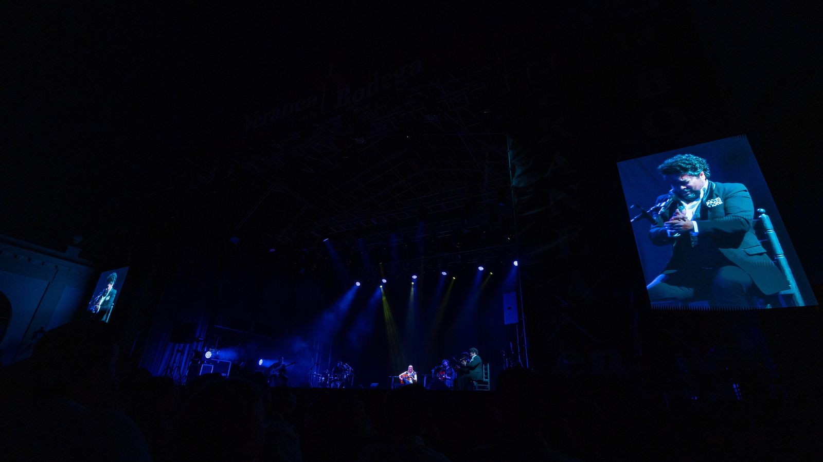 Vicente Amigo en Tío Pepe Festival