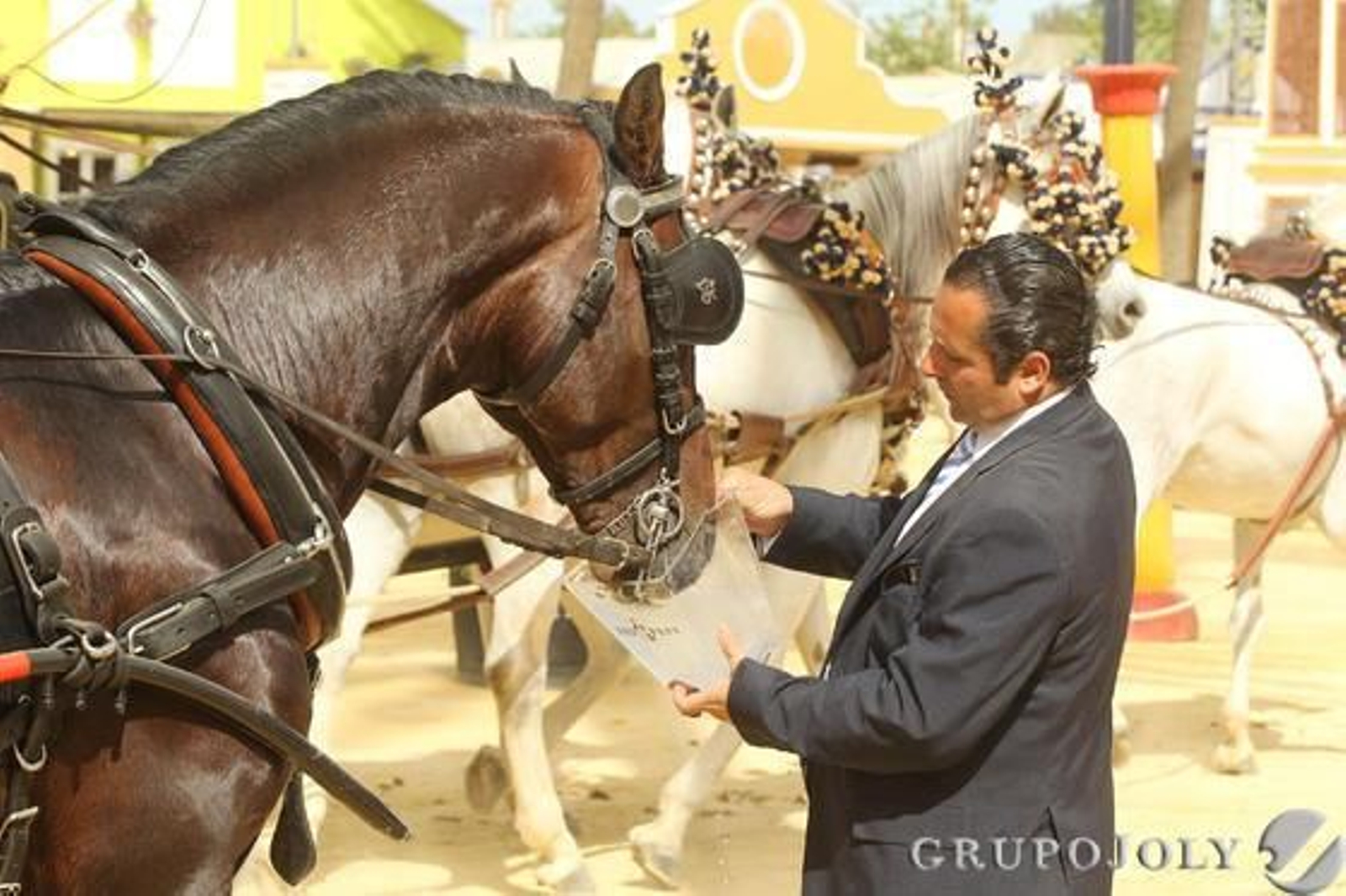 Los caballos también necesitan hidratarse, y más en día sofocante como el de ayer.  Foto: Miguel Angel Gonzalez