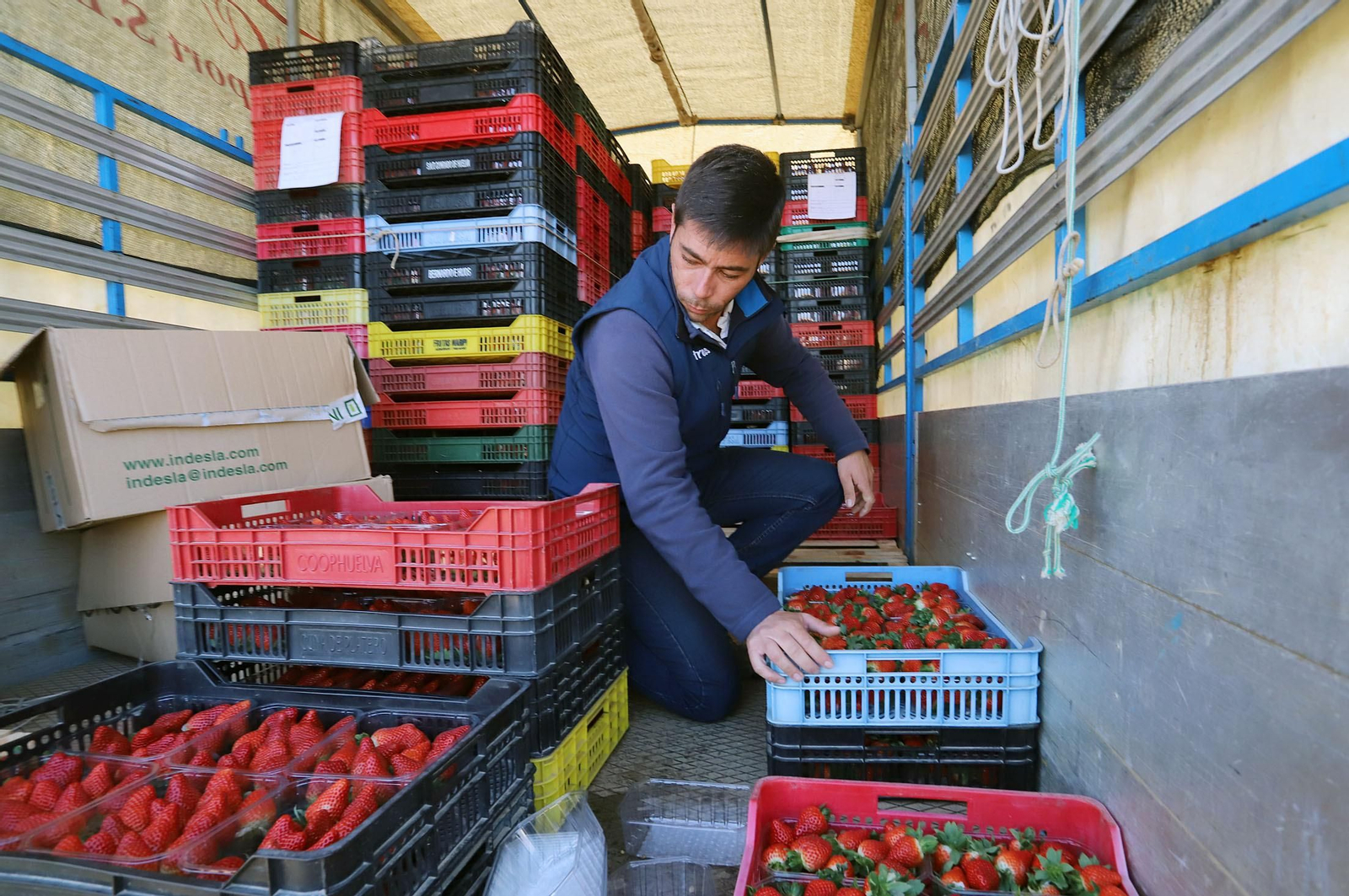 Imágenes de la realidad del trabajo en el campo