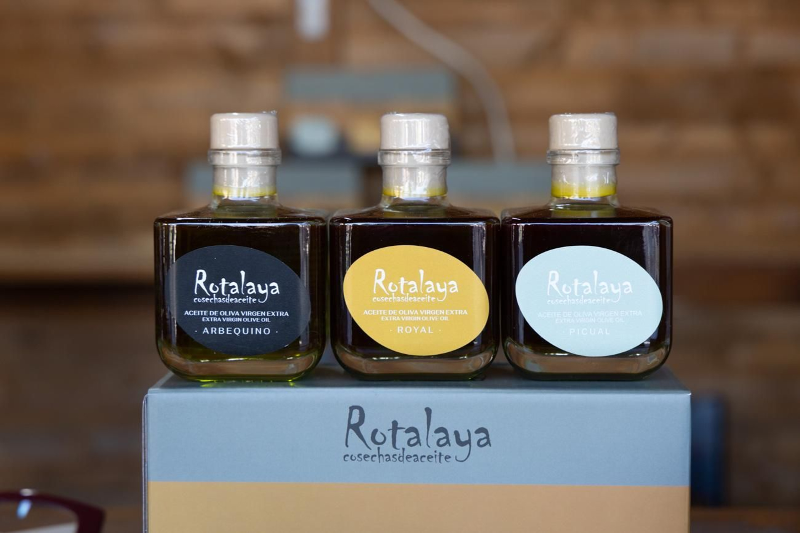 Homenaje a los agricultores de Jaén en la Fiesta del Primer Aceite en Martos (II)