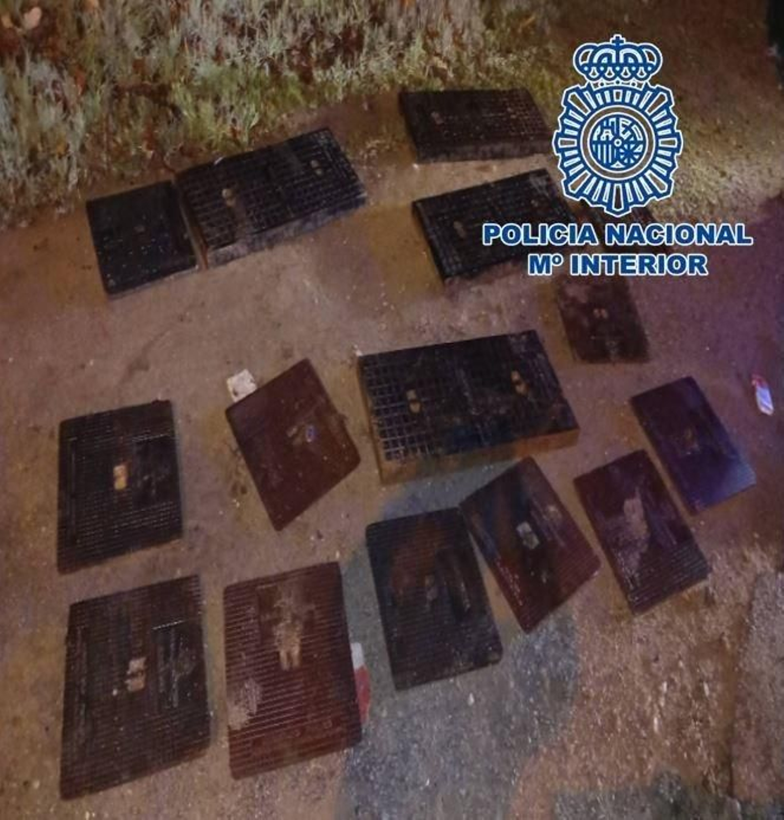 Algunas de las tapas robadas en Granada.