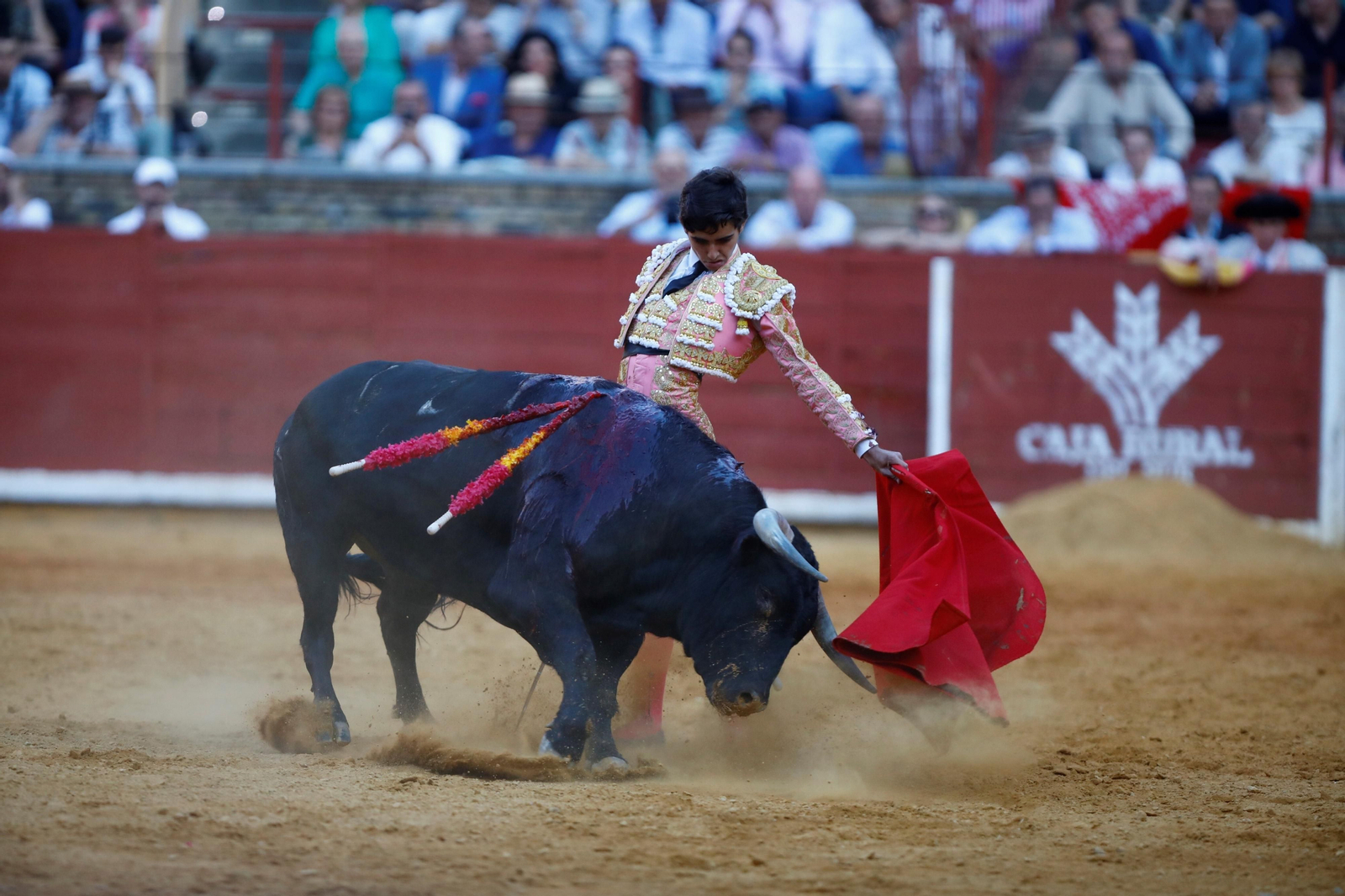La presentación del novillero Manuel Román en Córdoba, en imágenes