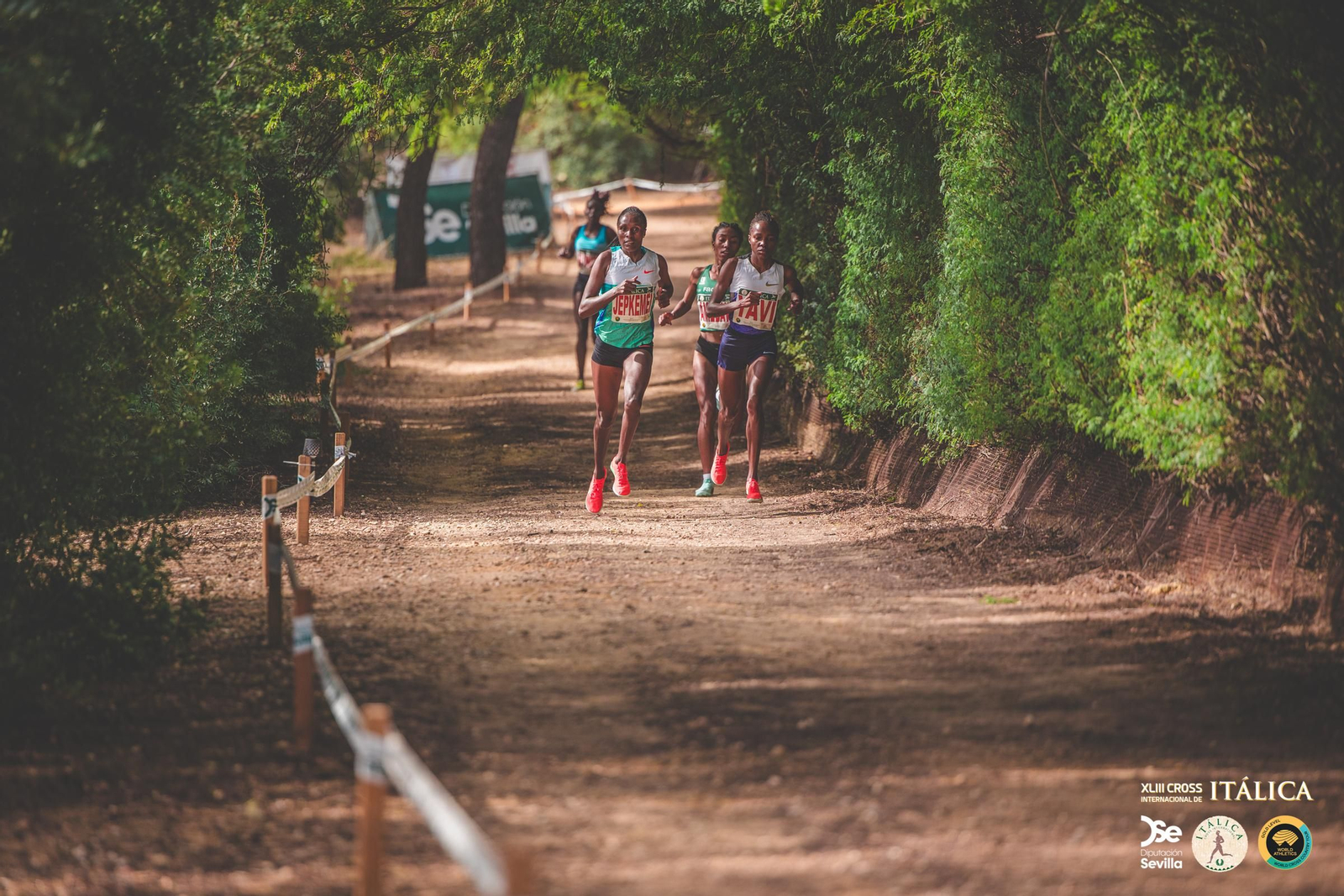 Búscate en las fotos del Cross de Itálica 2025 | 11